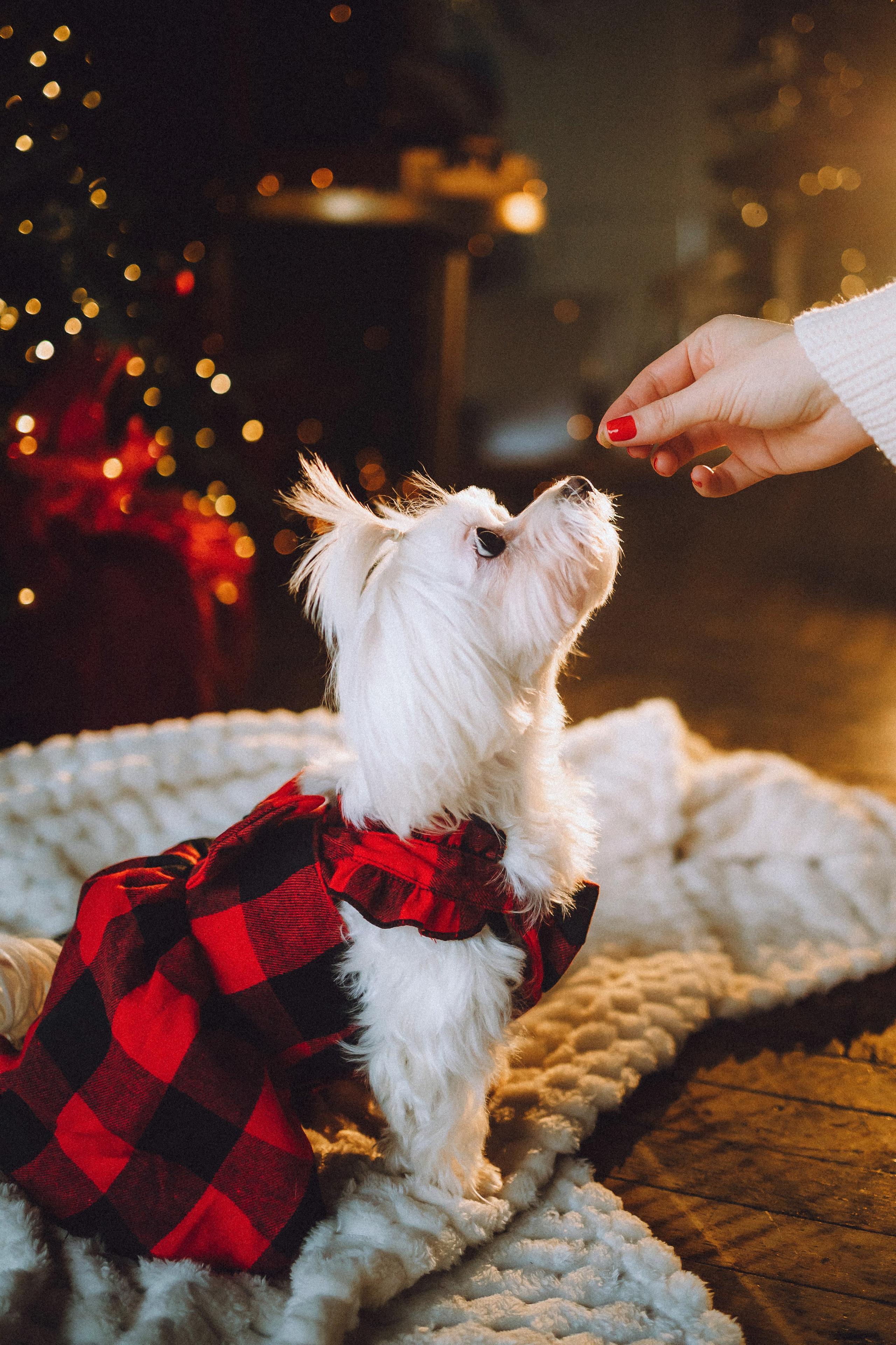 Констанция и Молли