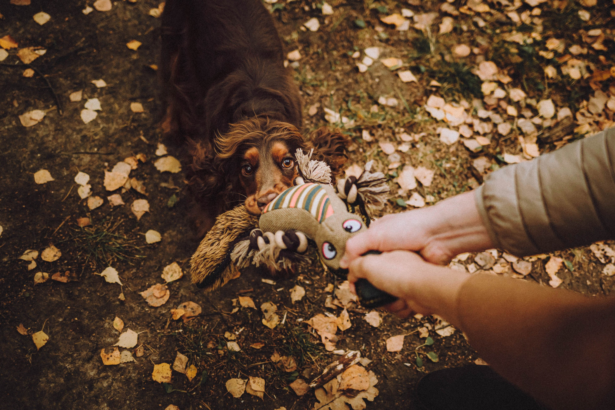 Настя, Саша и Эстер