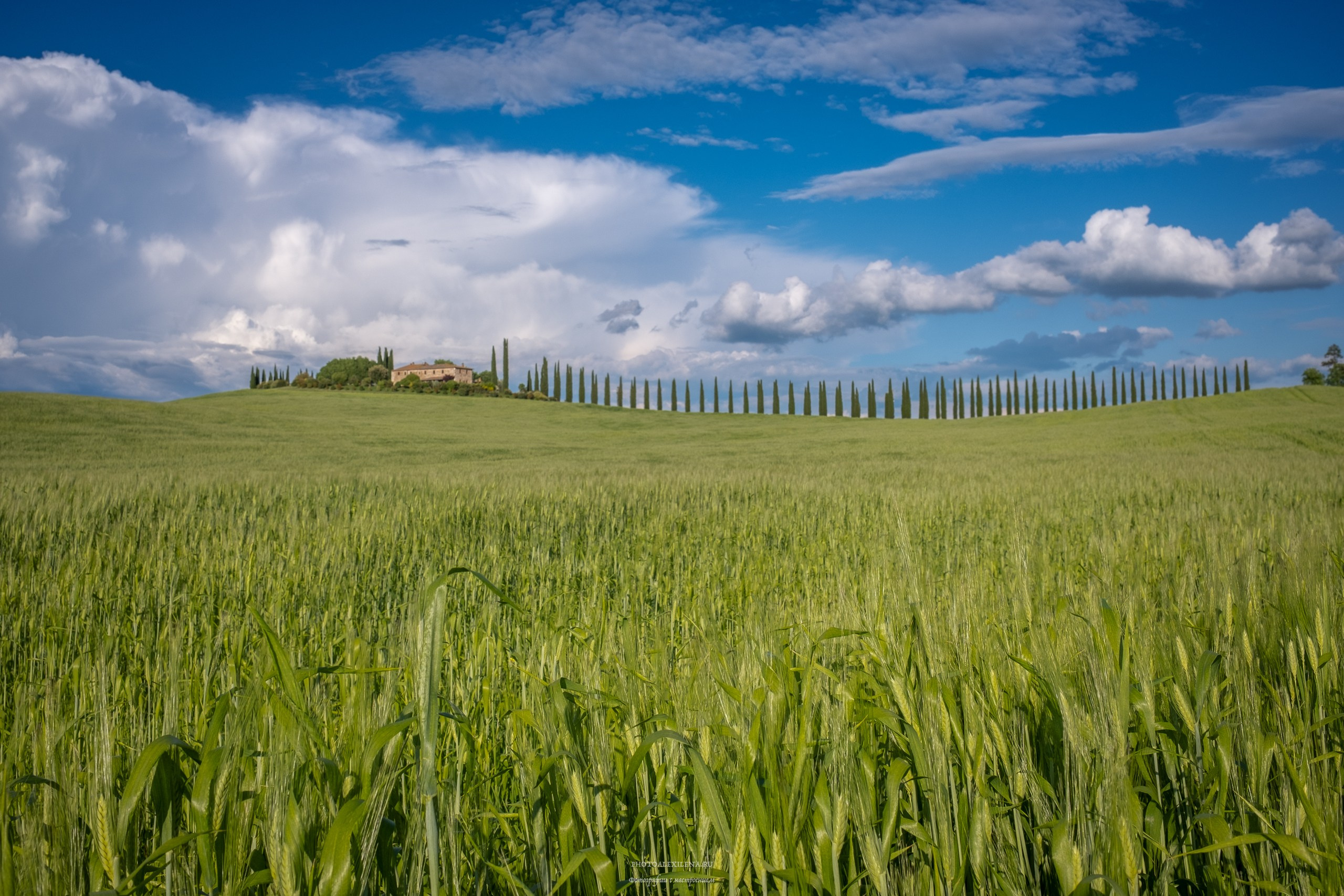 Долина Валь д’Орча-сердце Тосканы. Авторские стильные фотокартины