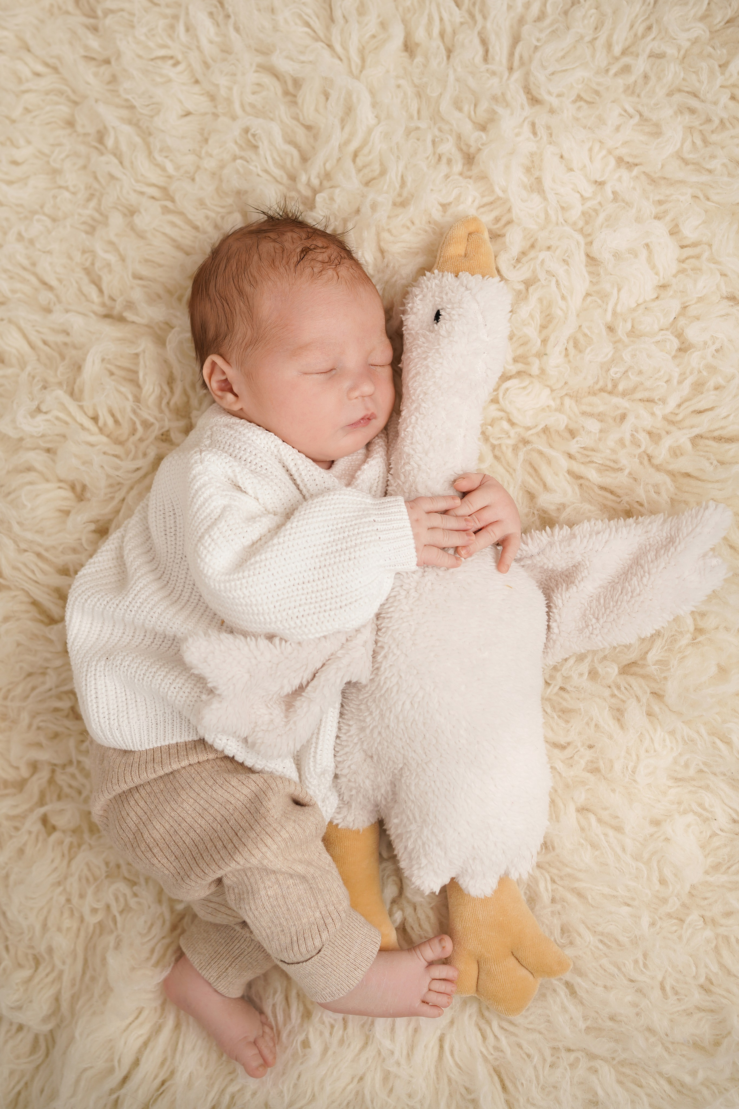 Новорожденный малыш  в милом свитере и штанишках сладко обнимает игрушечного гусенка.