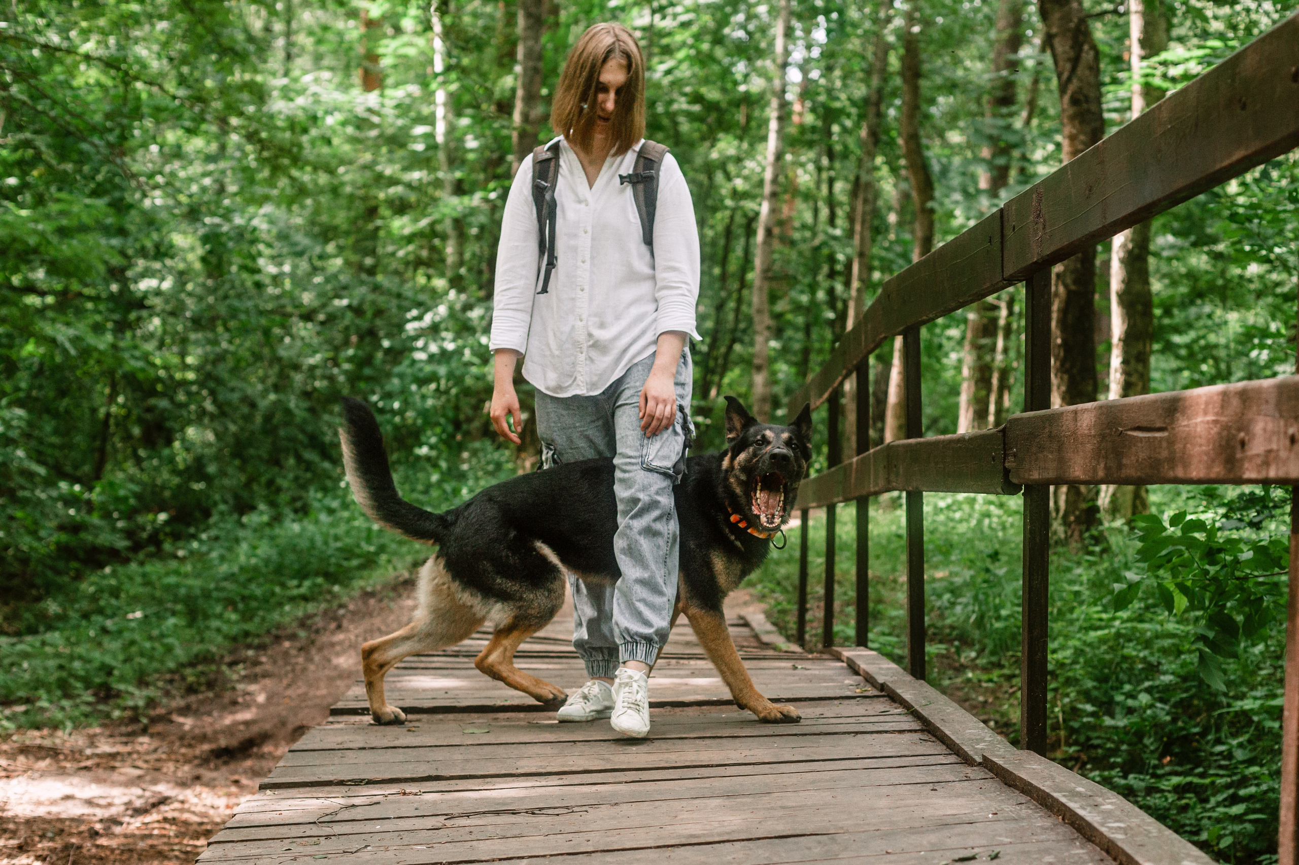 Лесная летняя фотопрогулка. Фотограф-анималист Татьяна Степанова