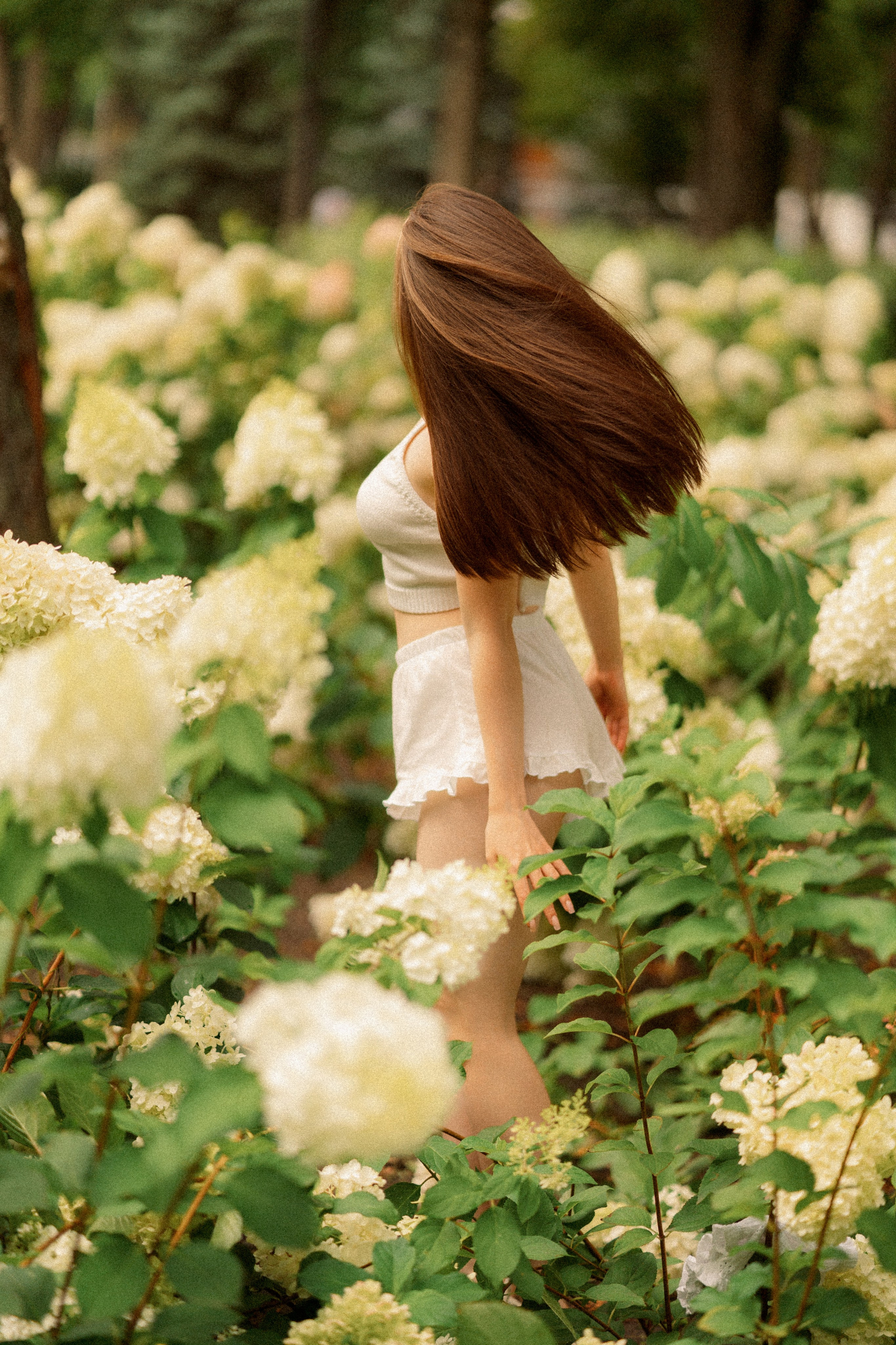 Цветочки. Фотограф Мария Зайчик