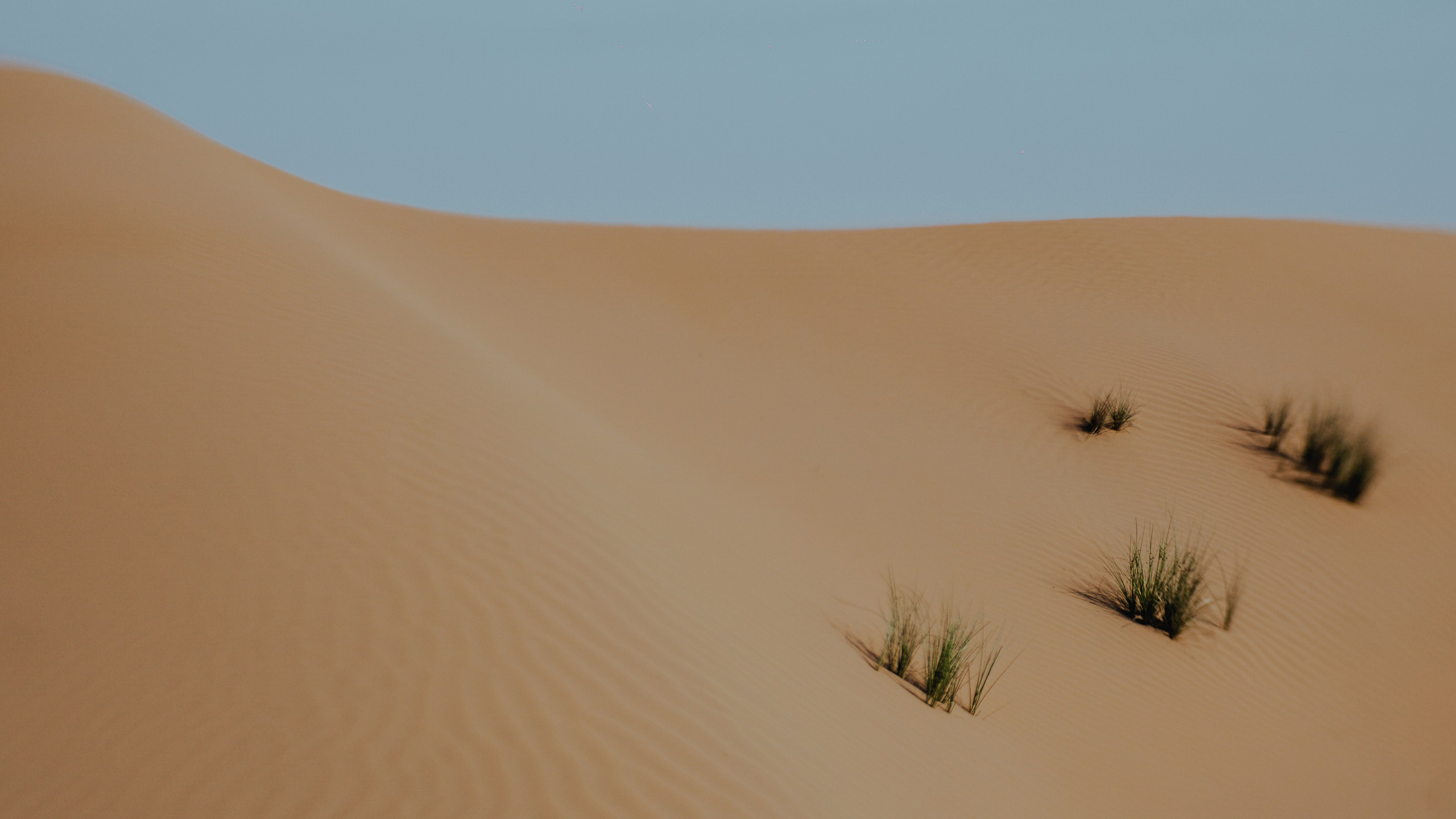 EXHIBITION. Репортажный и интерьерный фотограф, фотохудожник