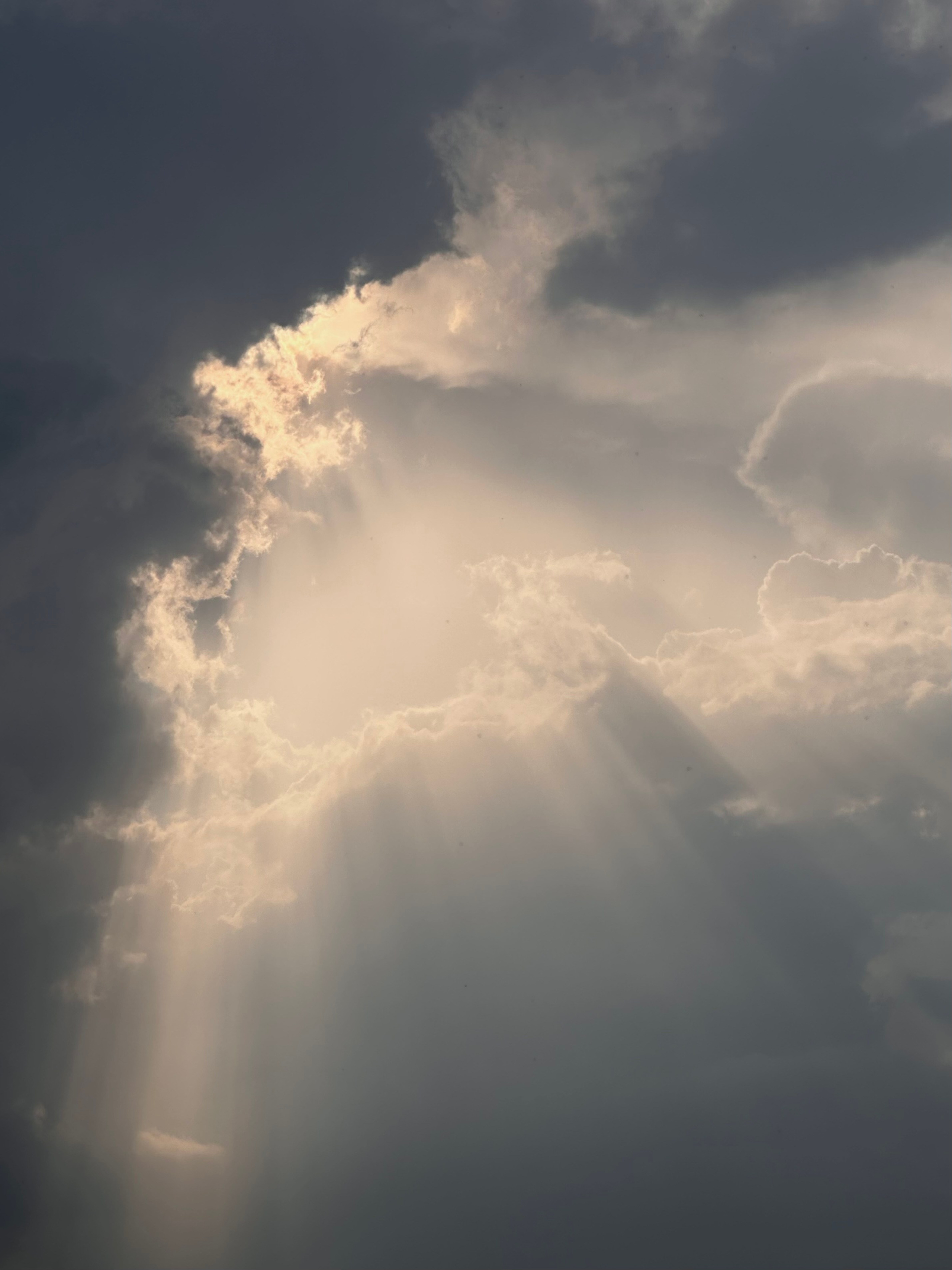 EXHIBITION. Репортажный и интерьерный фотограф, фотохудожник