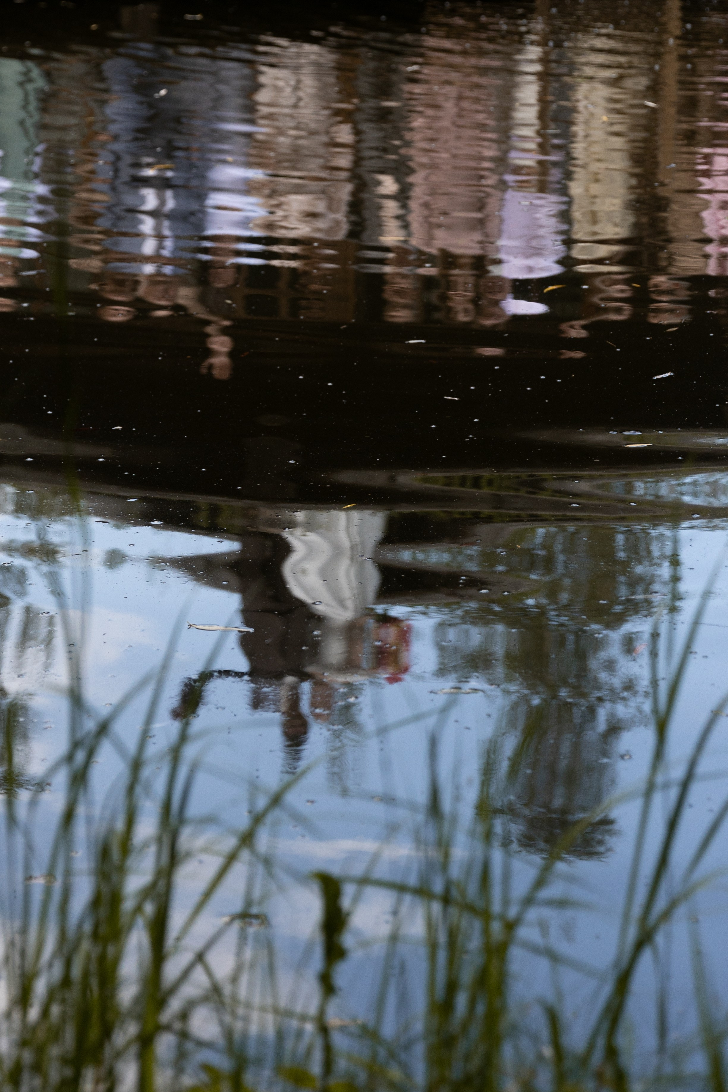 Таня и Ваня, площадка «Таёжный». Свадебный фотограф | Москва