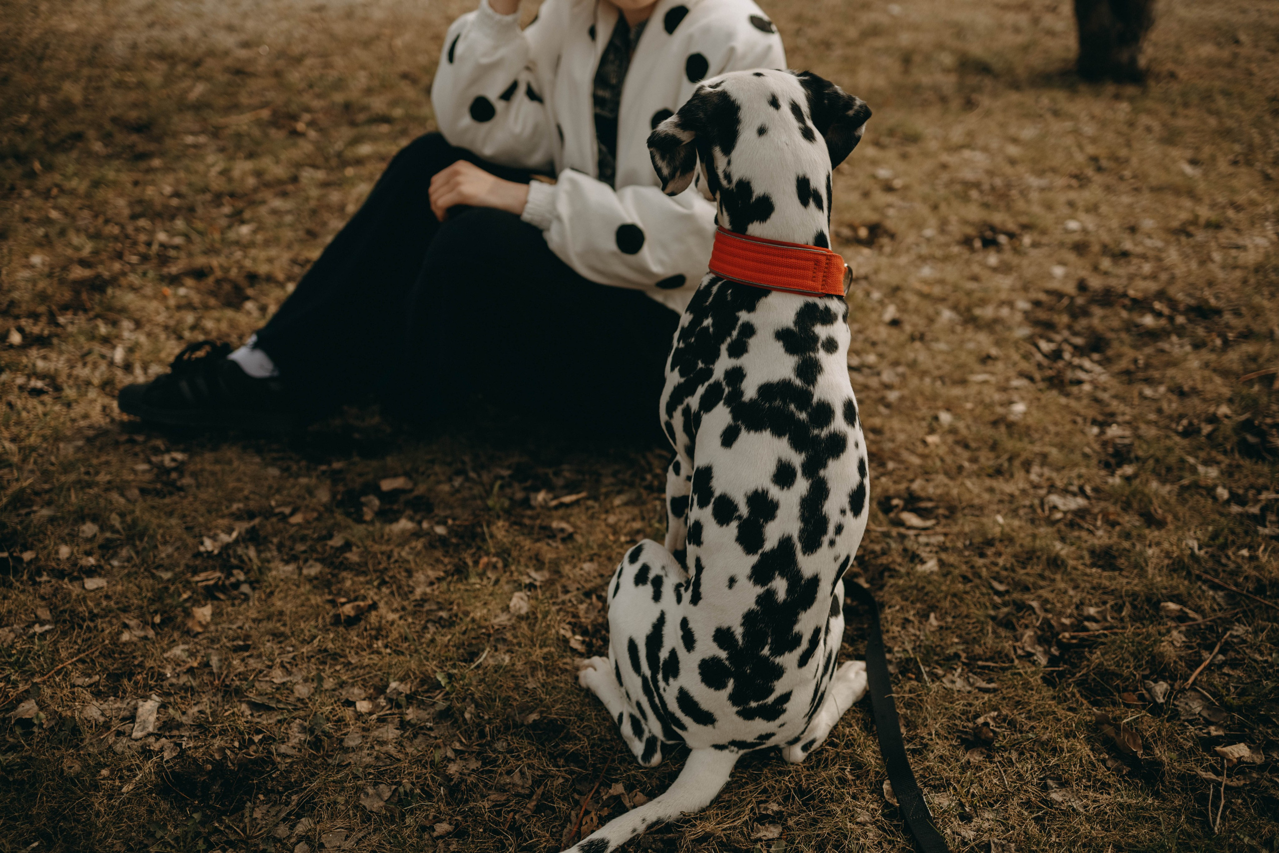 Диана и Лекса. Фотограф-анималист в Екатеринбурге | Кристина