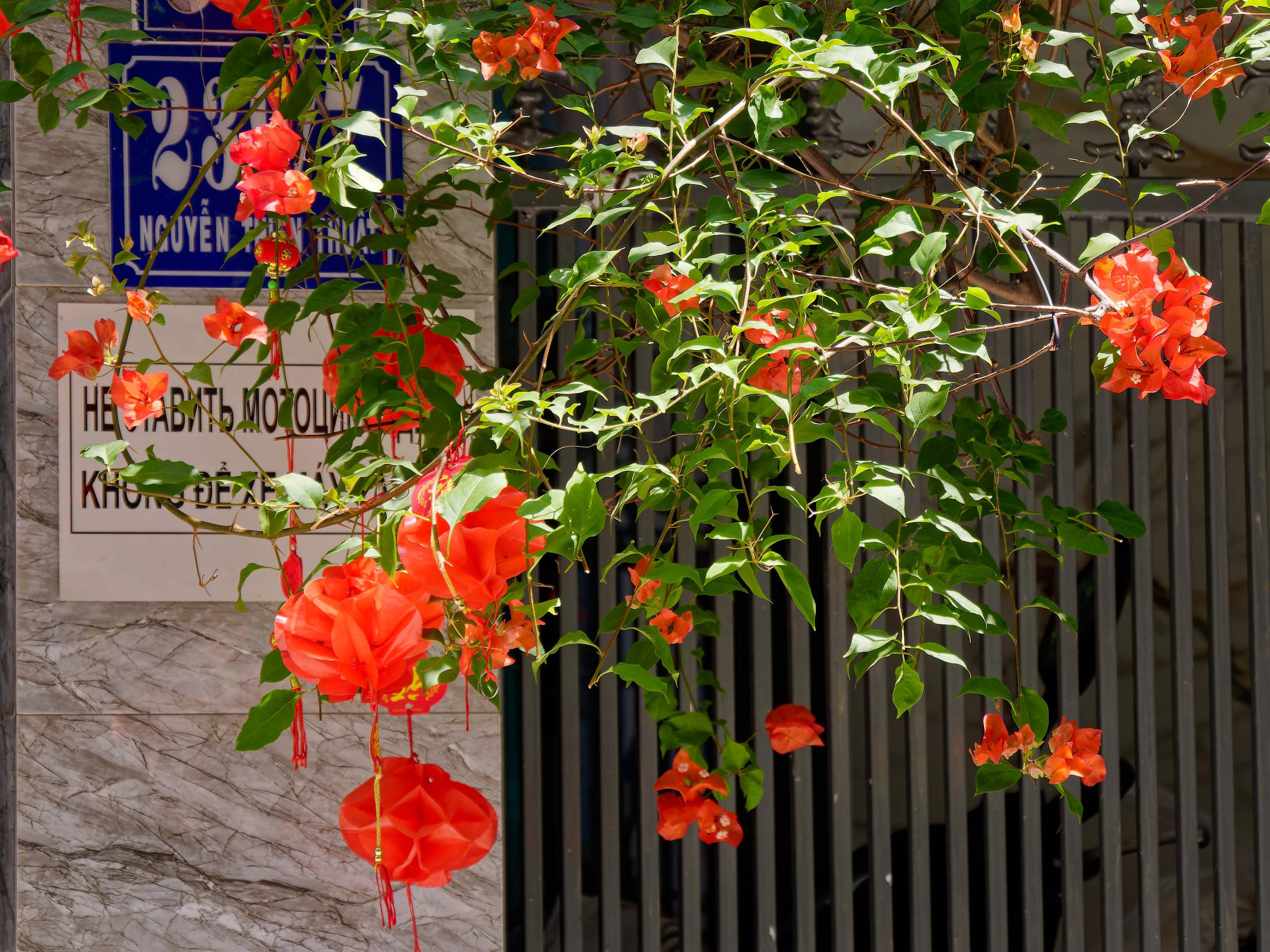 Нячанг 2025 (6). Избранные фотографии