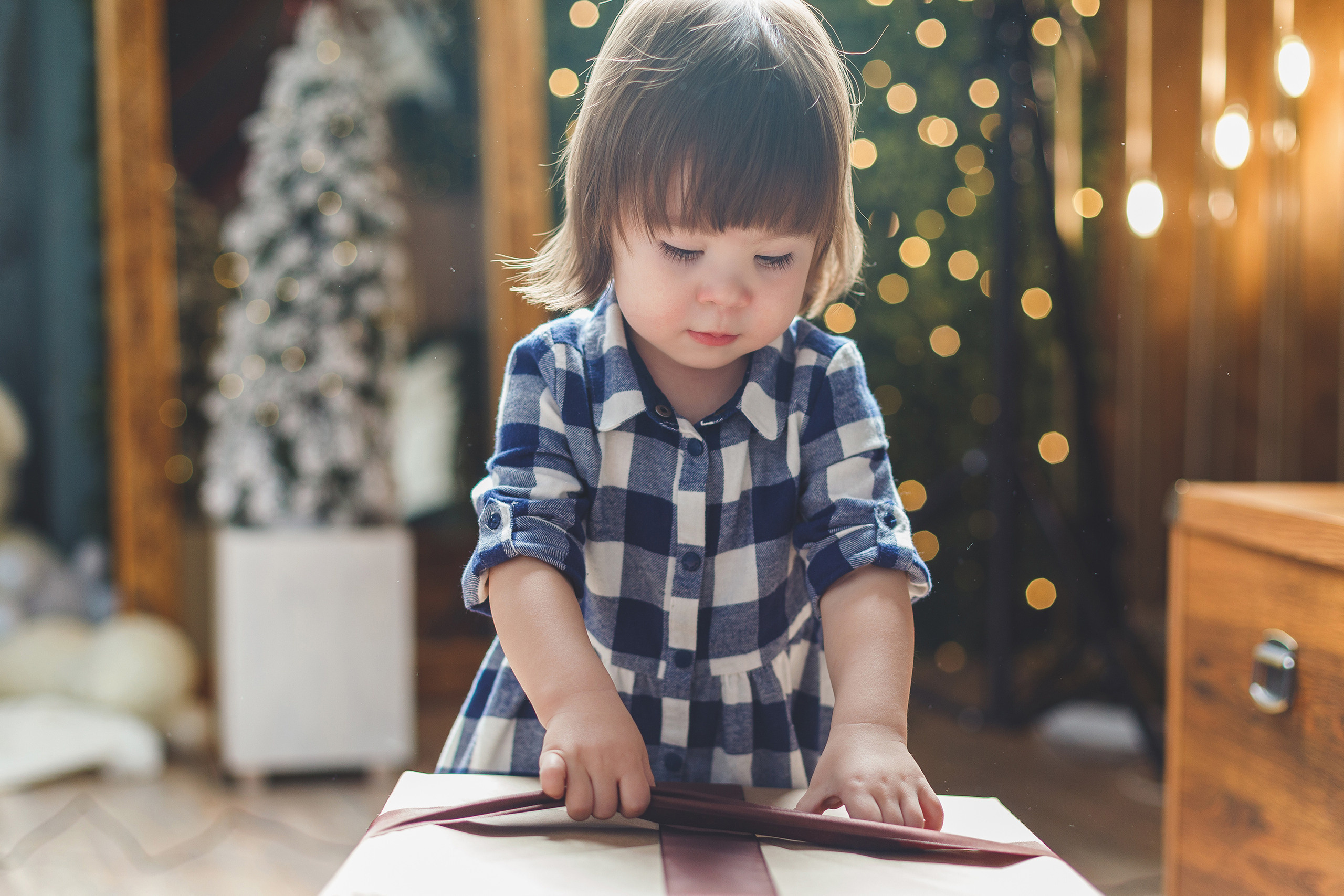 Новогодние приключения Саши и Лии