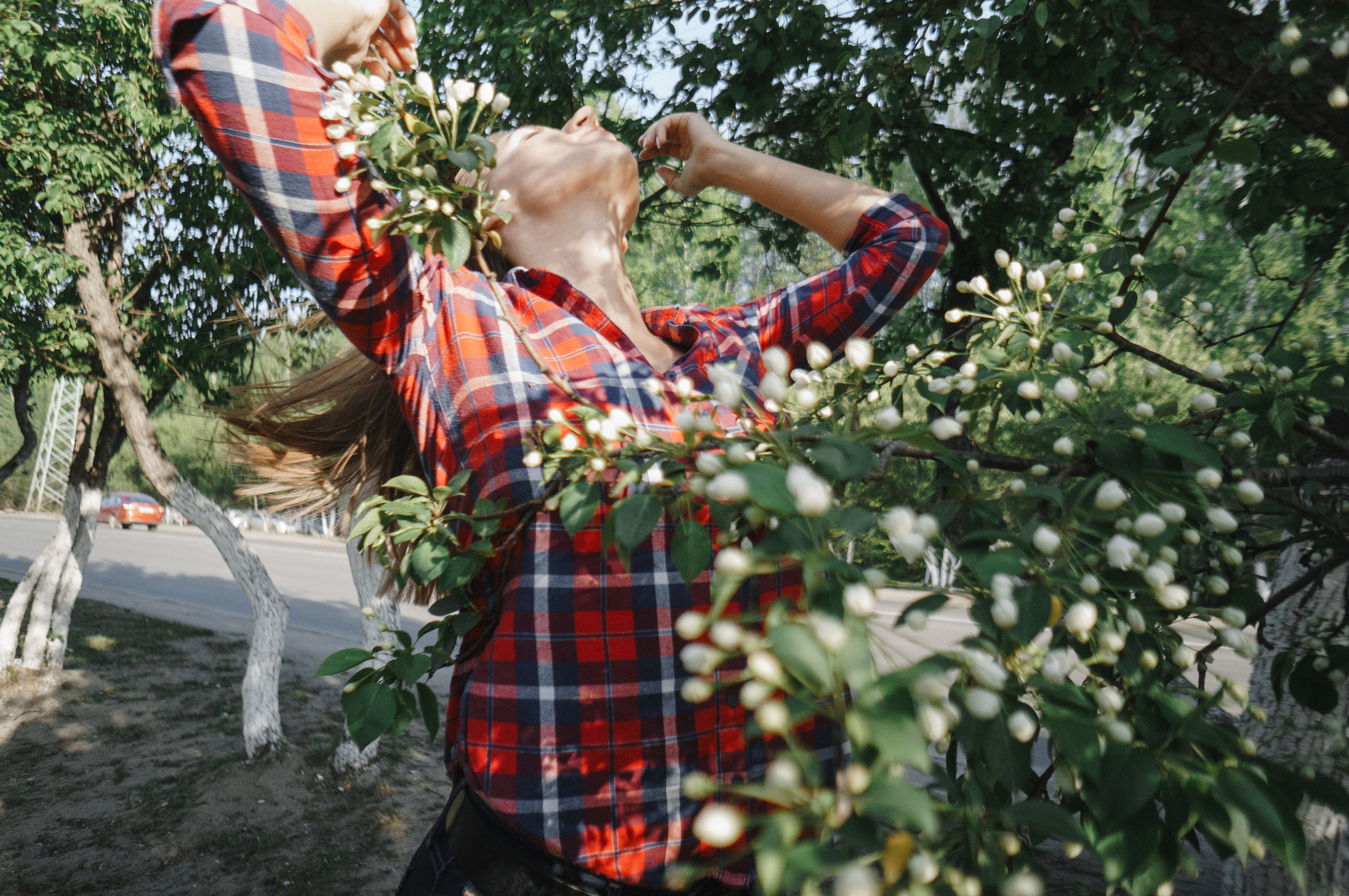 what a lovely country style