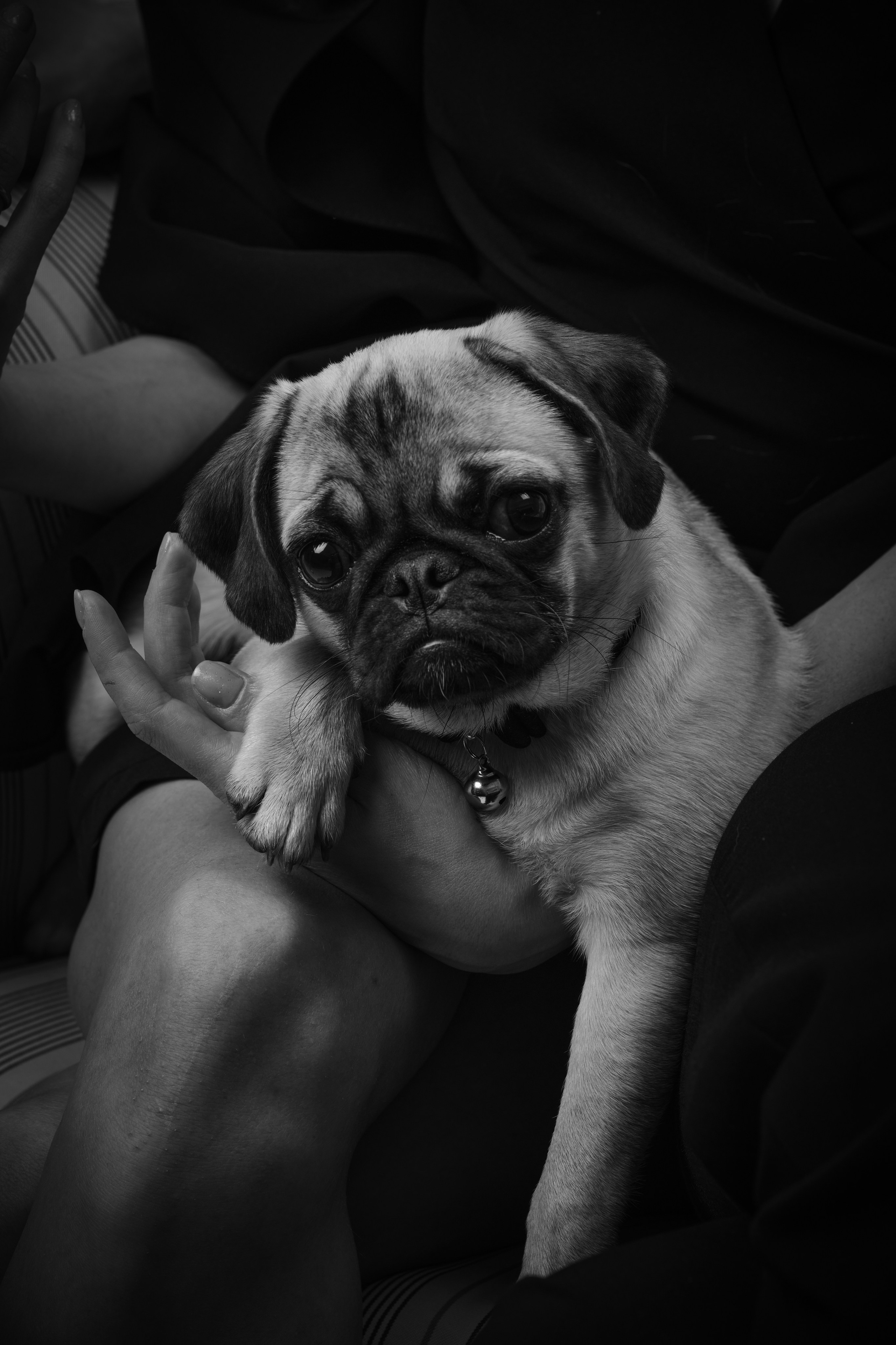 Марк и Екатерина. Фотограф в Москве Шах Мамаджан