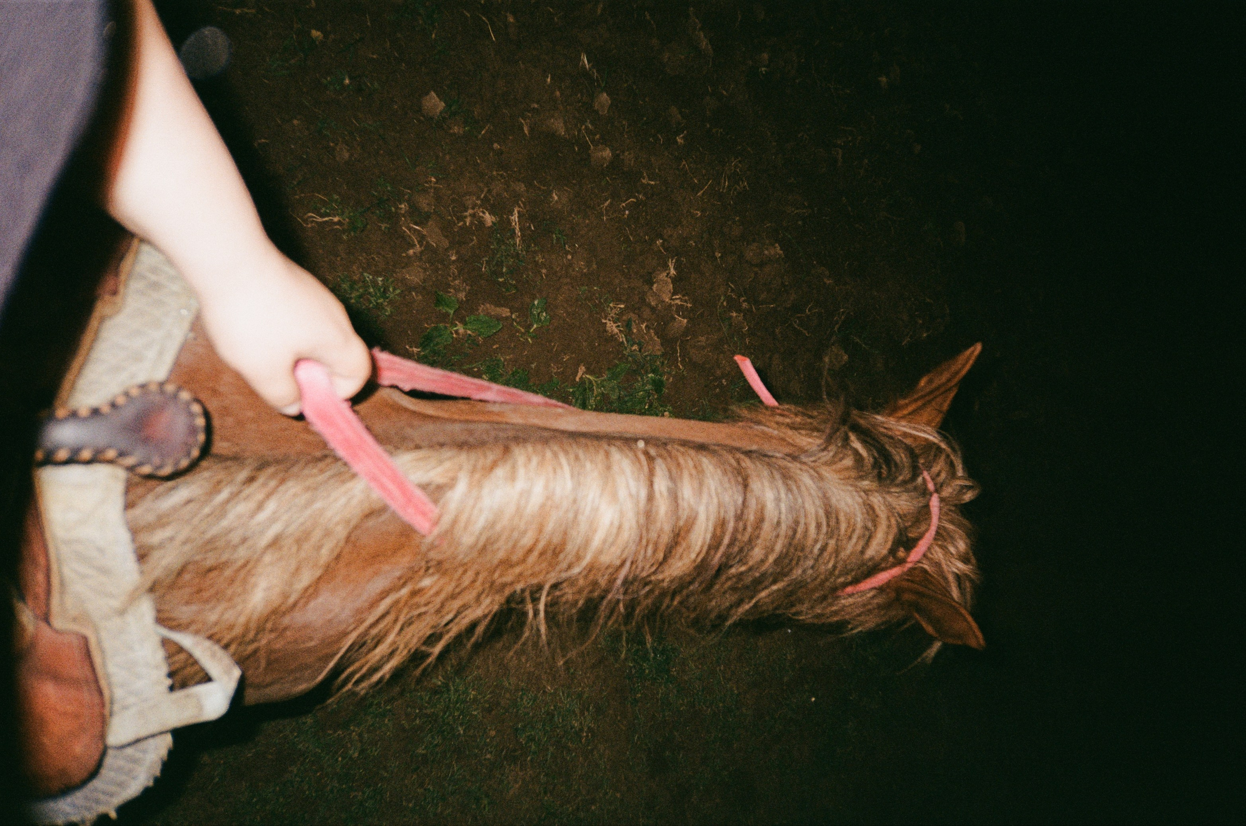 Film dairy. ㅤ