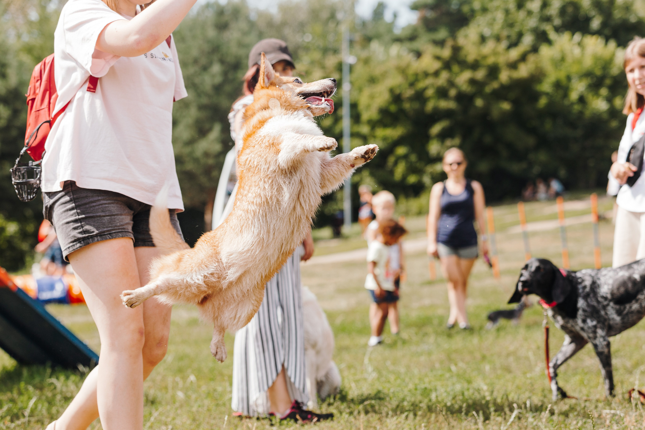 Petshop Sup day. Фотограф анималист Кристина Карпова, Москва