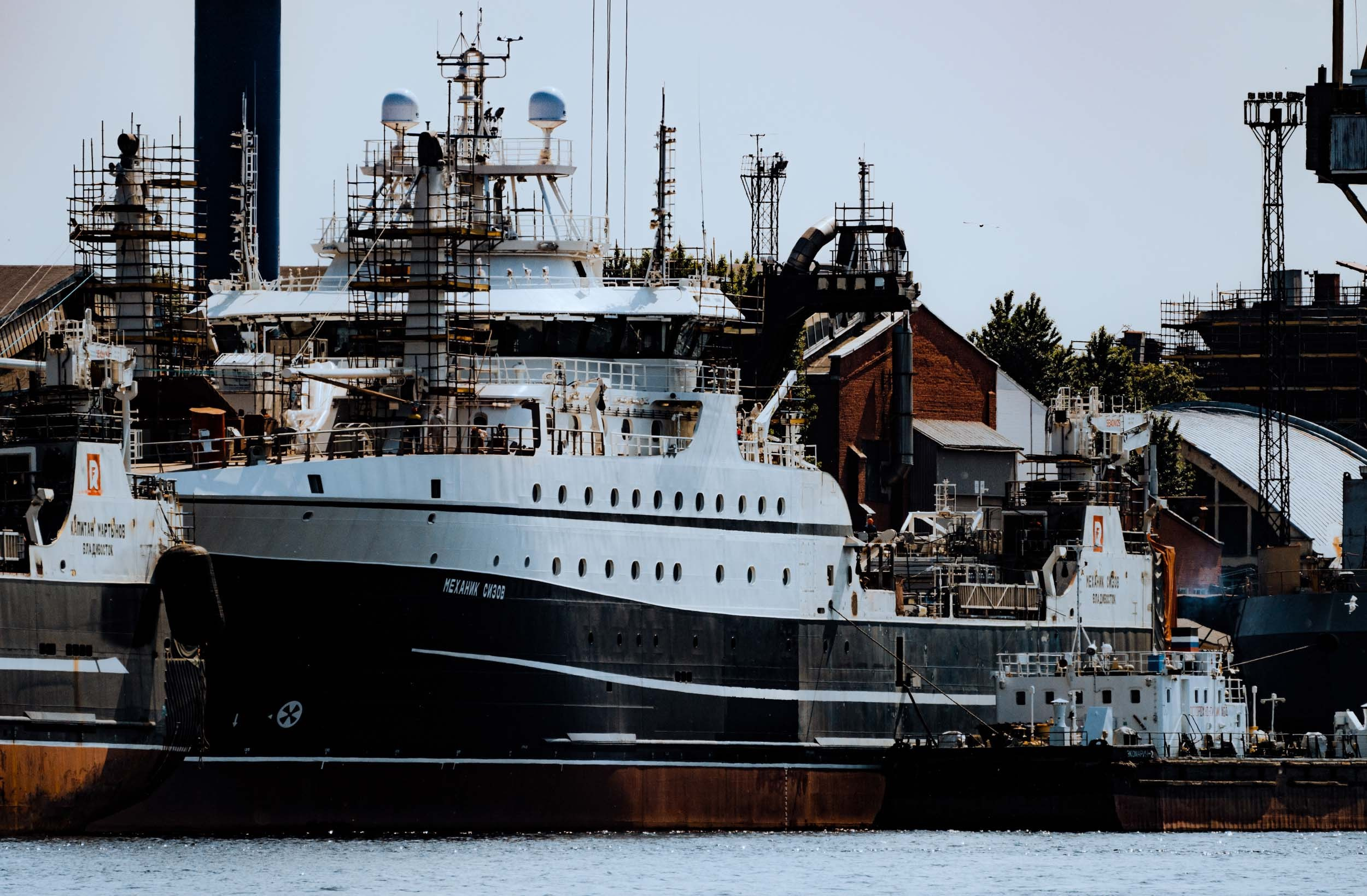 Saint Petersburg. The Andris