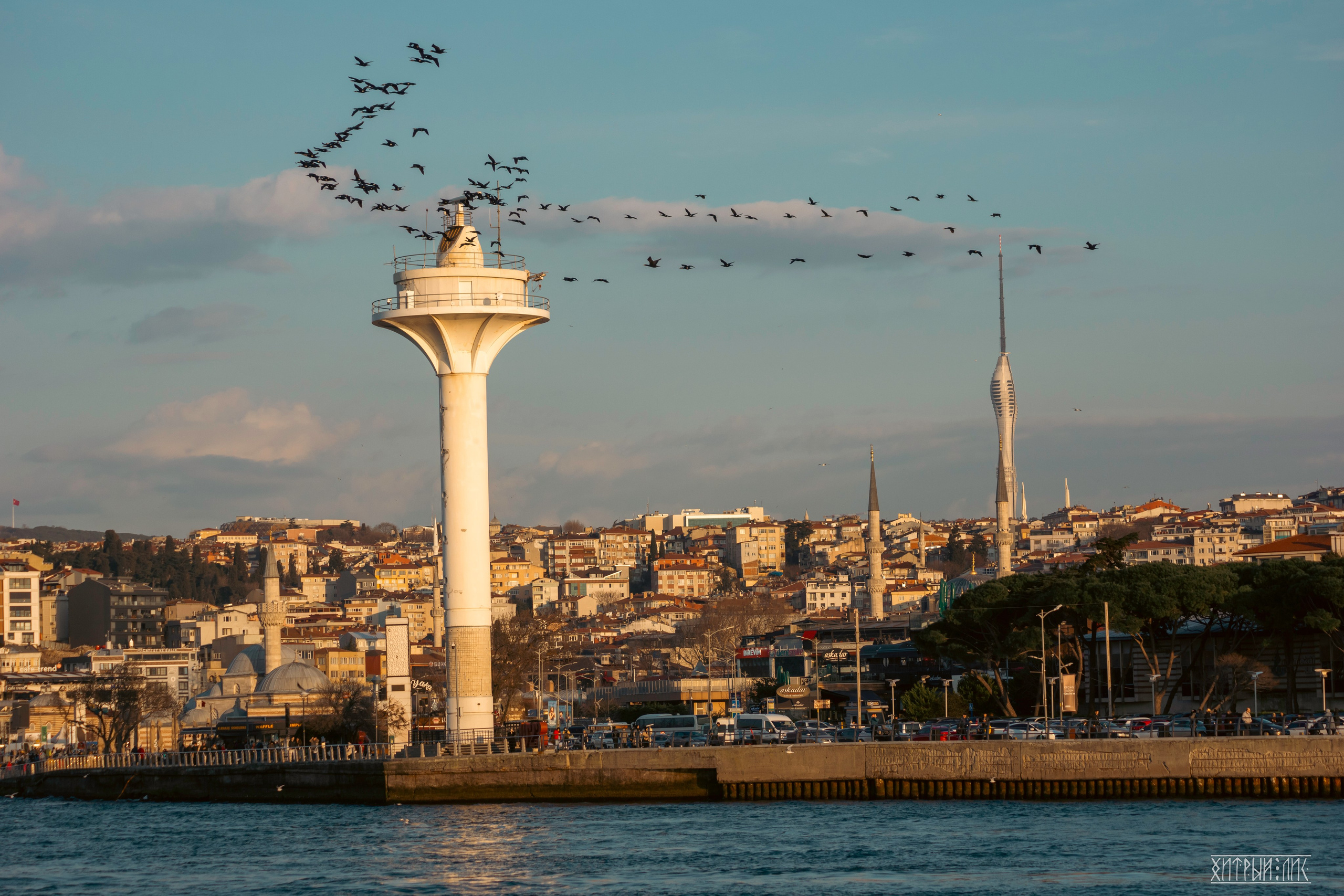 Стамбул. Фотограф-путешественник Самойлов Максим «Sly Fox»