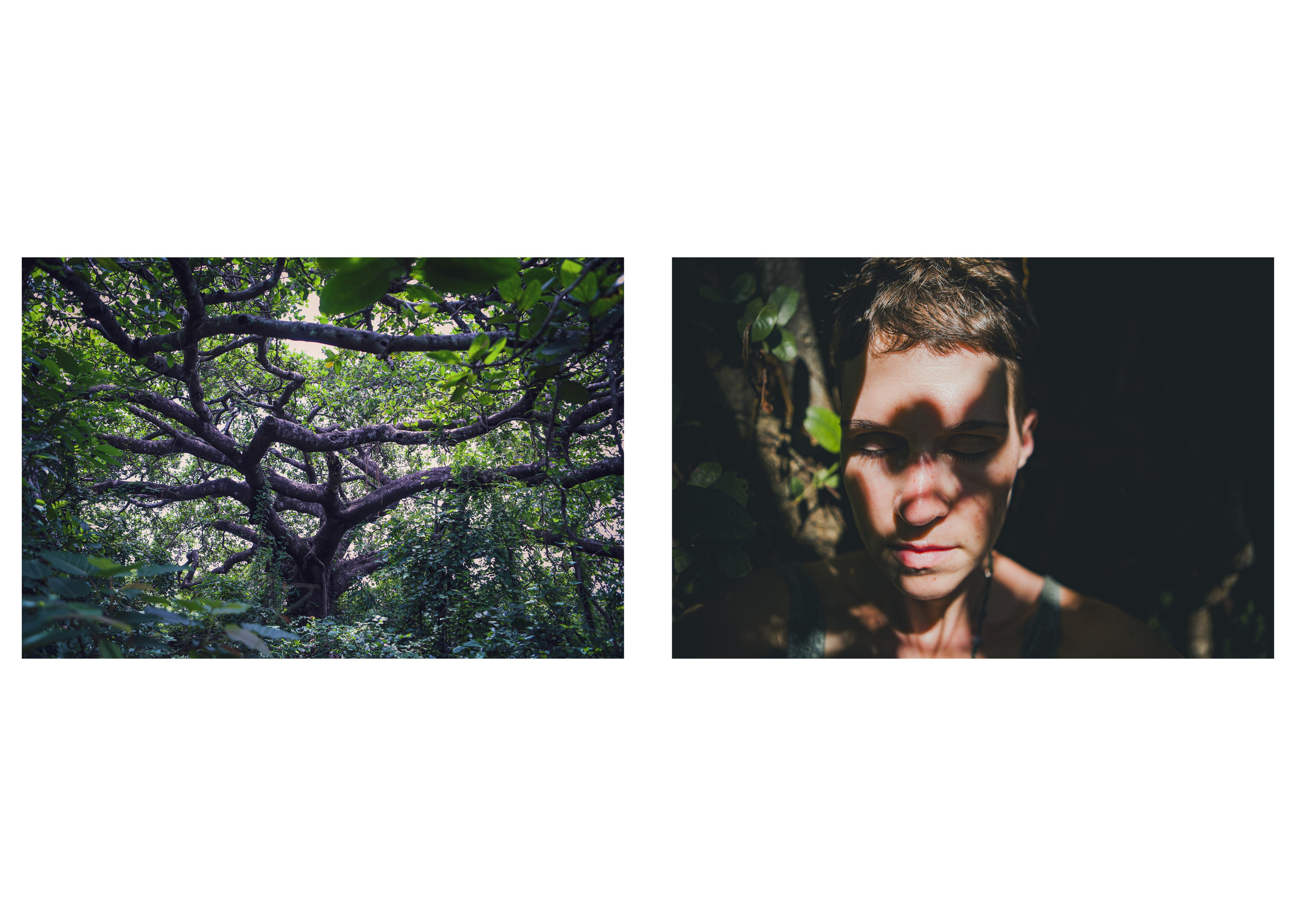 Nature me. Сайт Фотографа MASHASOLAR