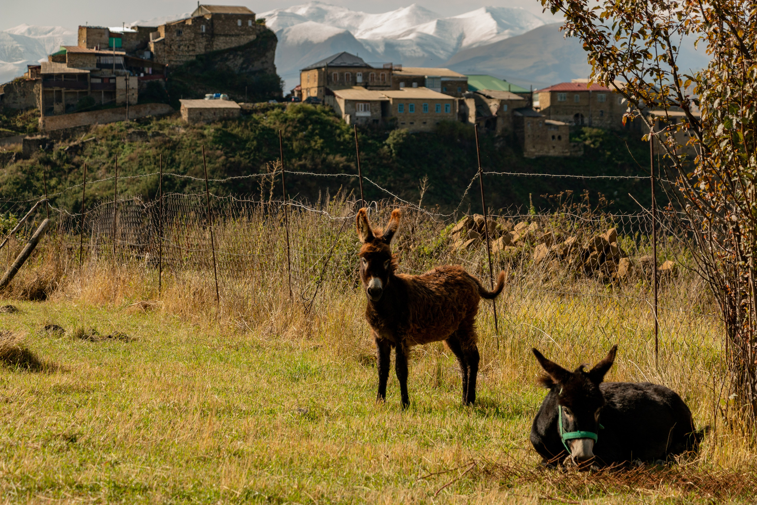 Дагестан. Фотограф в Сочи