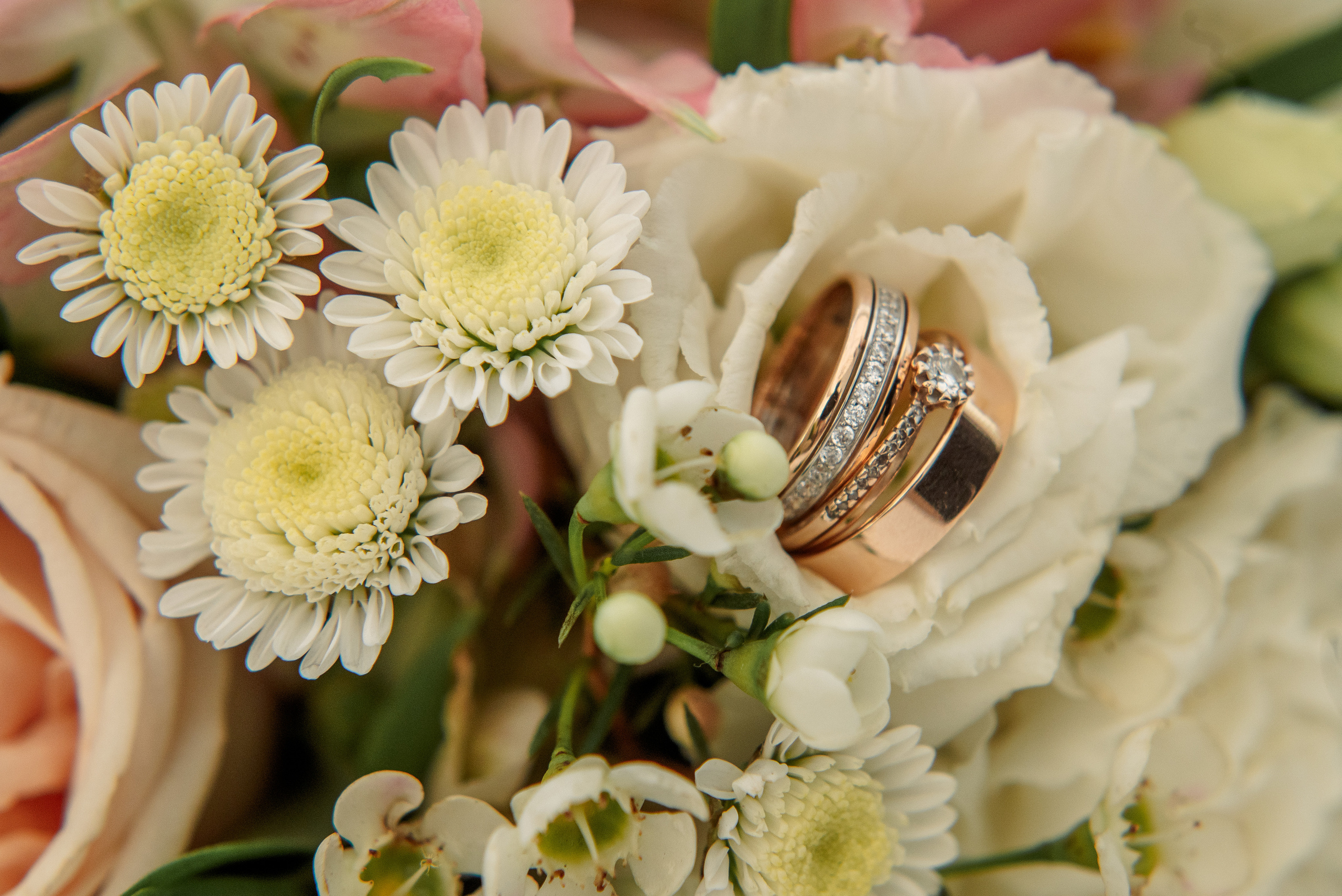 Елизавета и Максим. Свадебный и семейный фотограф в Челябинске Юлия Ишимова