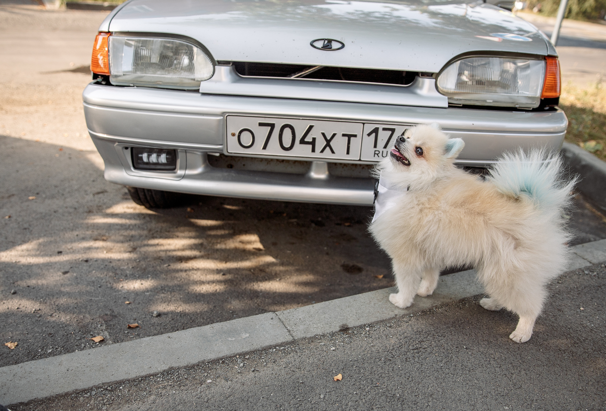 Елизавета и Максим. Свадебный и семейный фотограф в Челябинске Юлия Ишимова