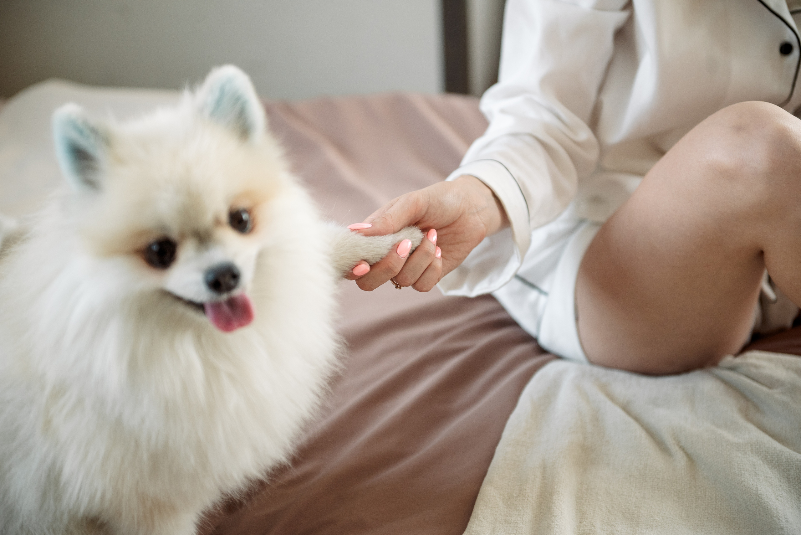 Елизавета и Максим. Свадебный и семейный фотограф в Челябинске Юлия Ишимова