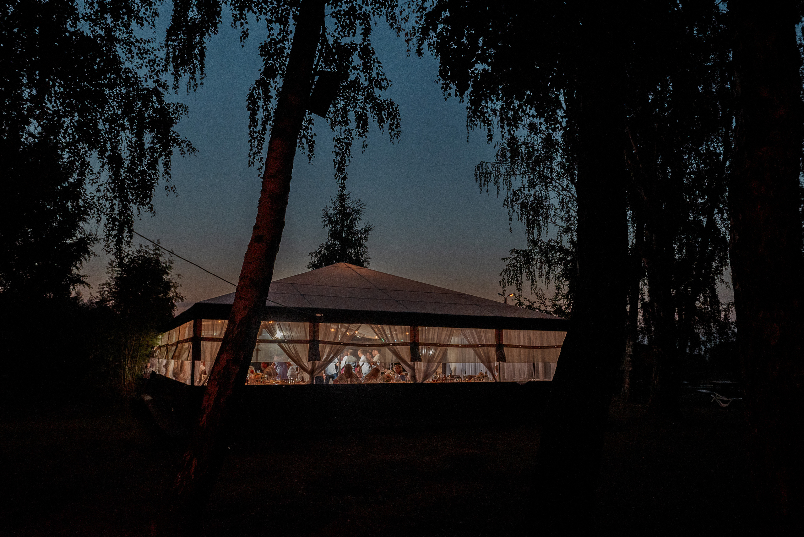 Елизавета и Максим. Свадебный и семейный фотограф в Челябинске Юлия Ишимова