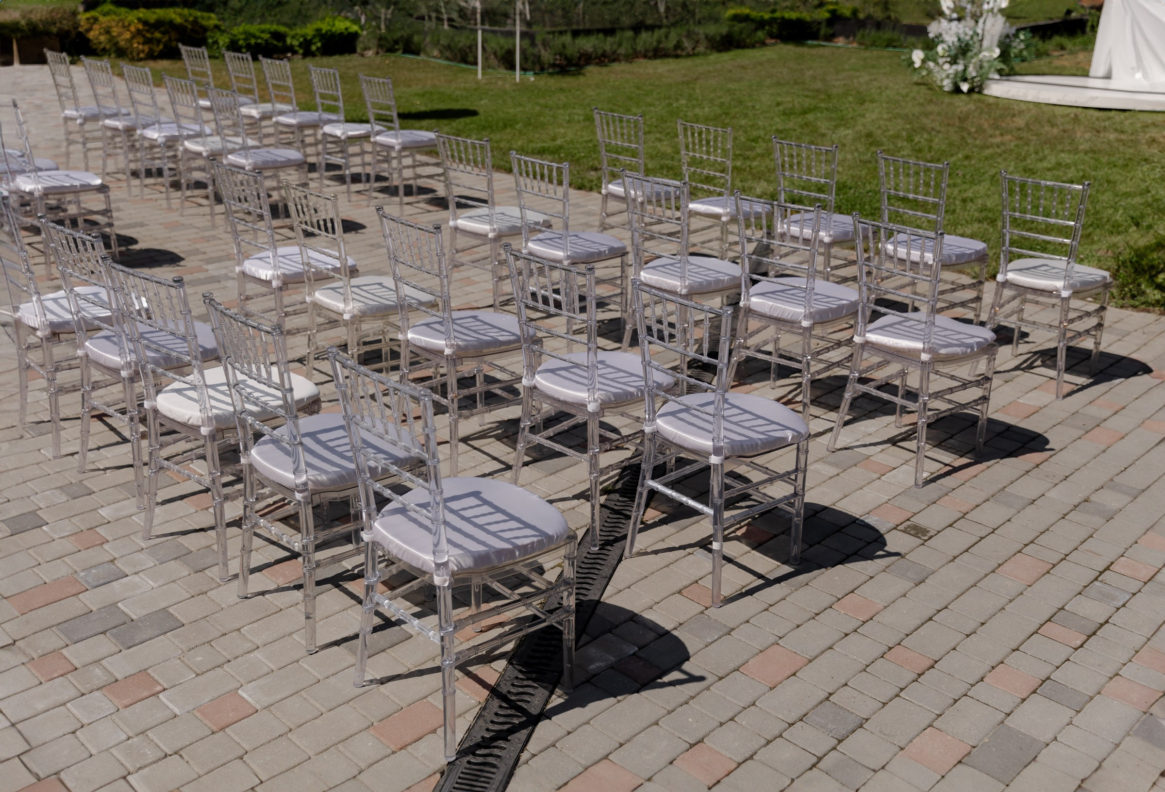 Свадьба пес и котики. Dima Lemeshevsky