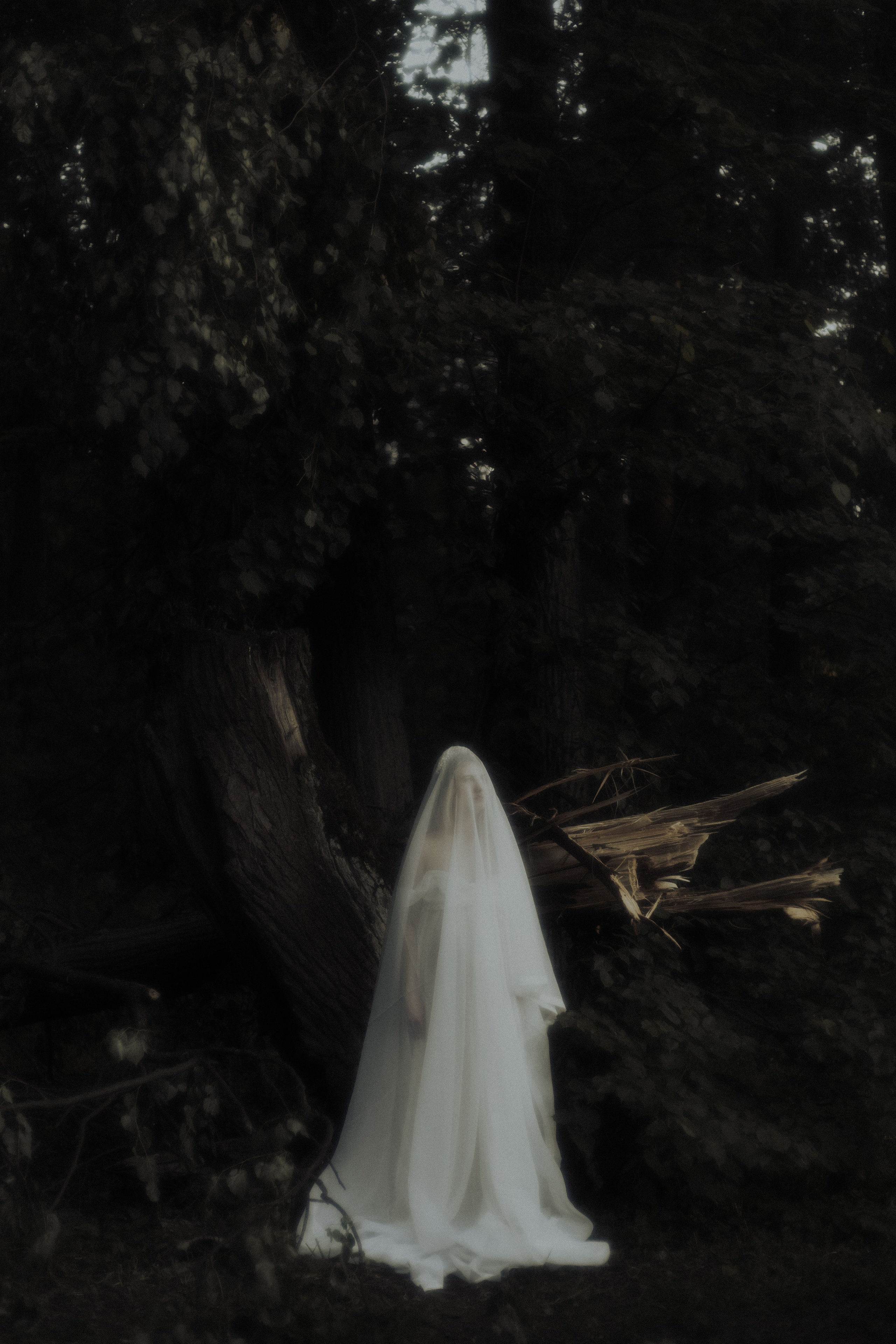 Мистический фотограф | Санкт-Петербург