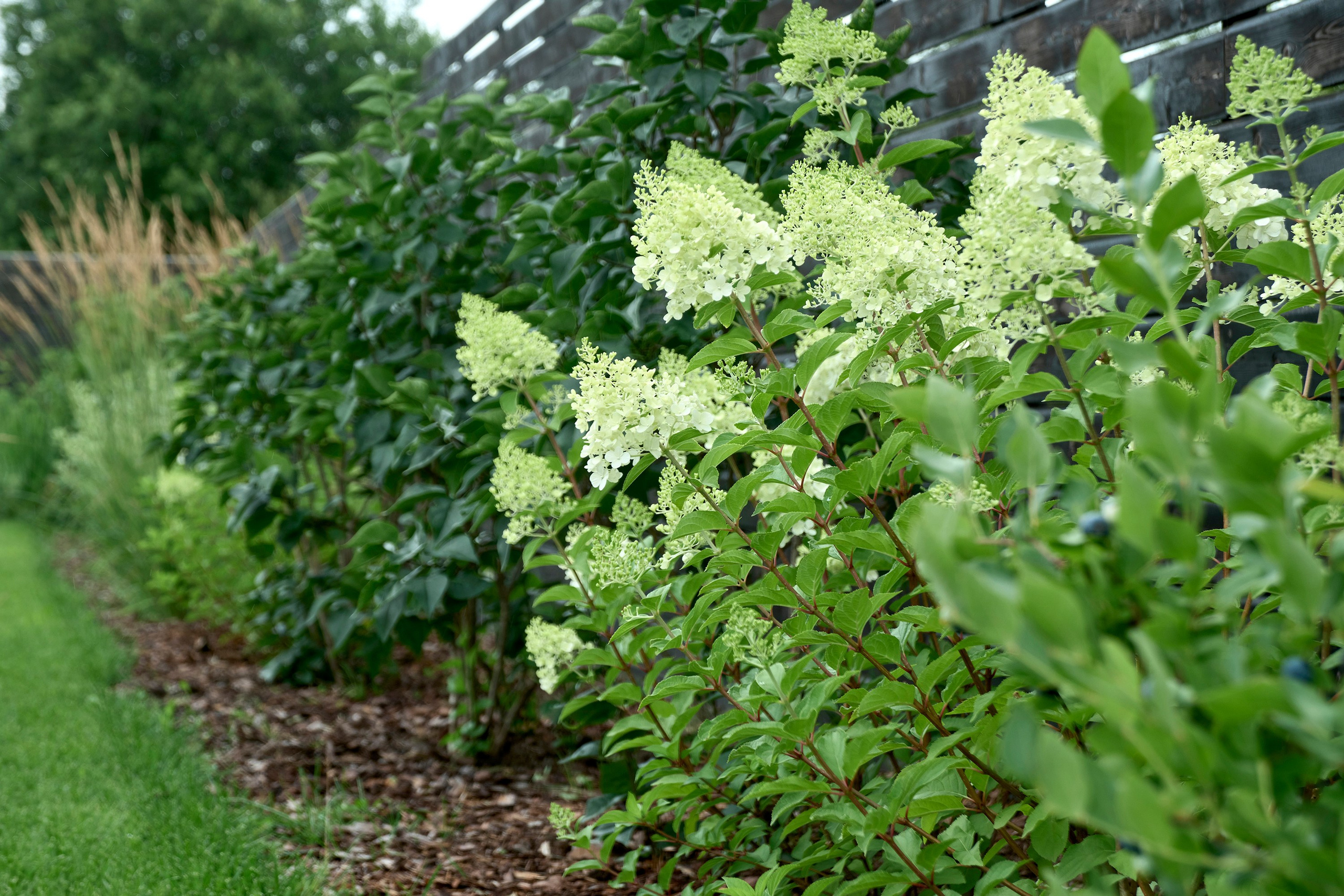 Ландшафтный и интерьерный фотограф Наталья Соловьева. Фотосъемка частного сада под Гатчиной для Таисьи Игошиной | interioto