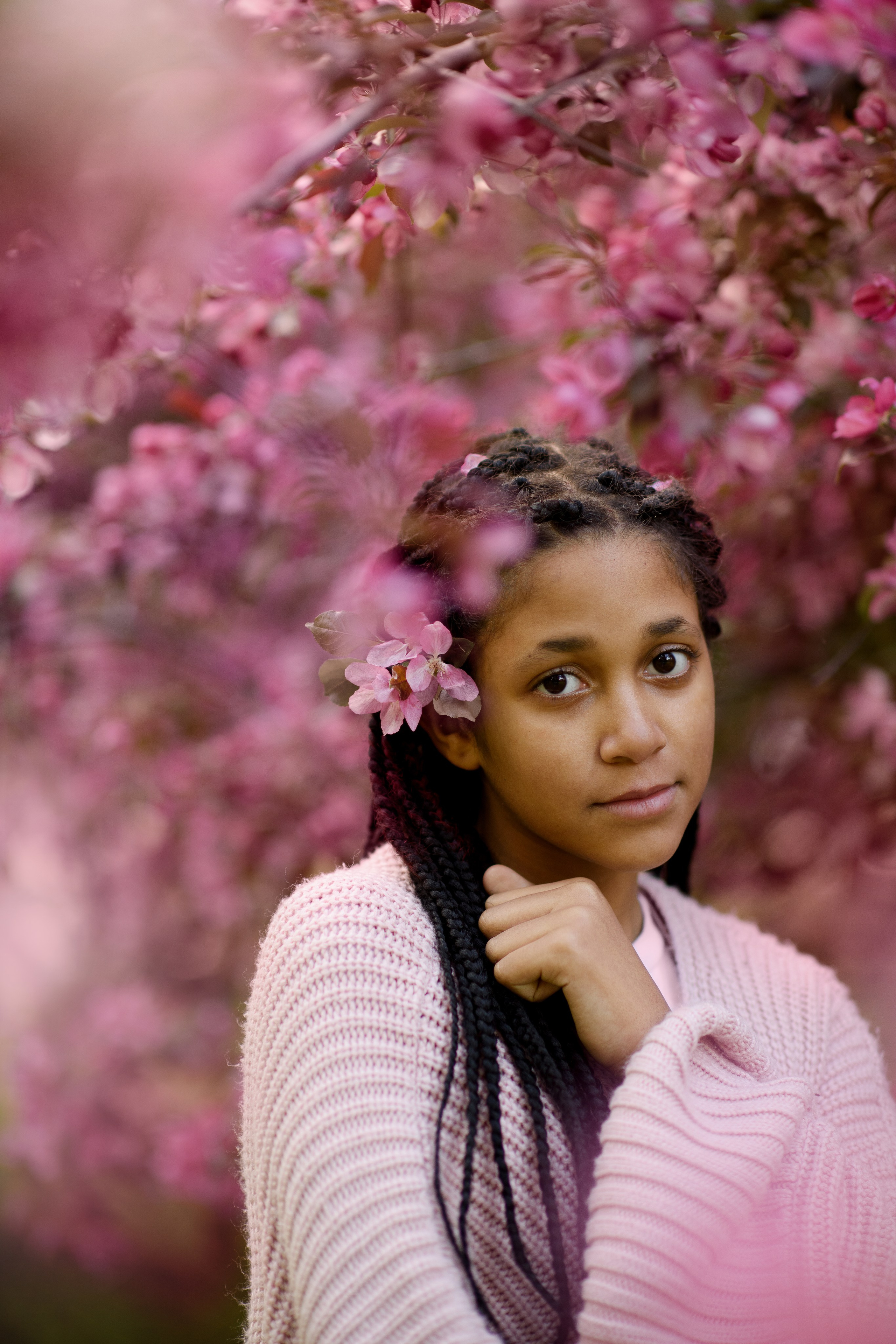 Яблони в Коломенском. Ясмина. Главная