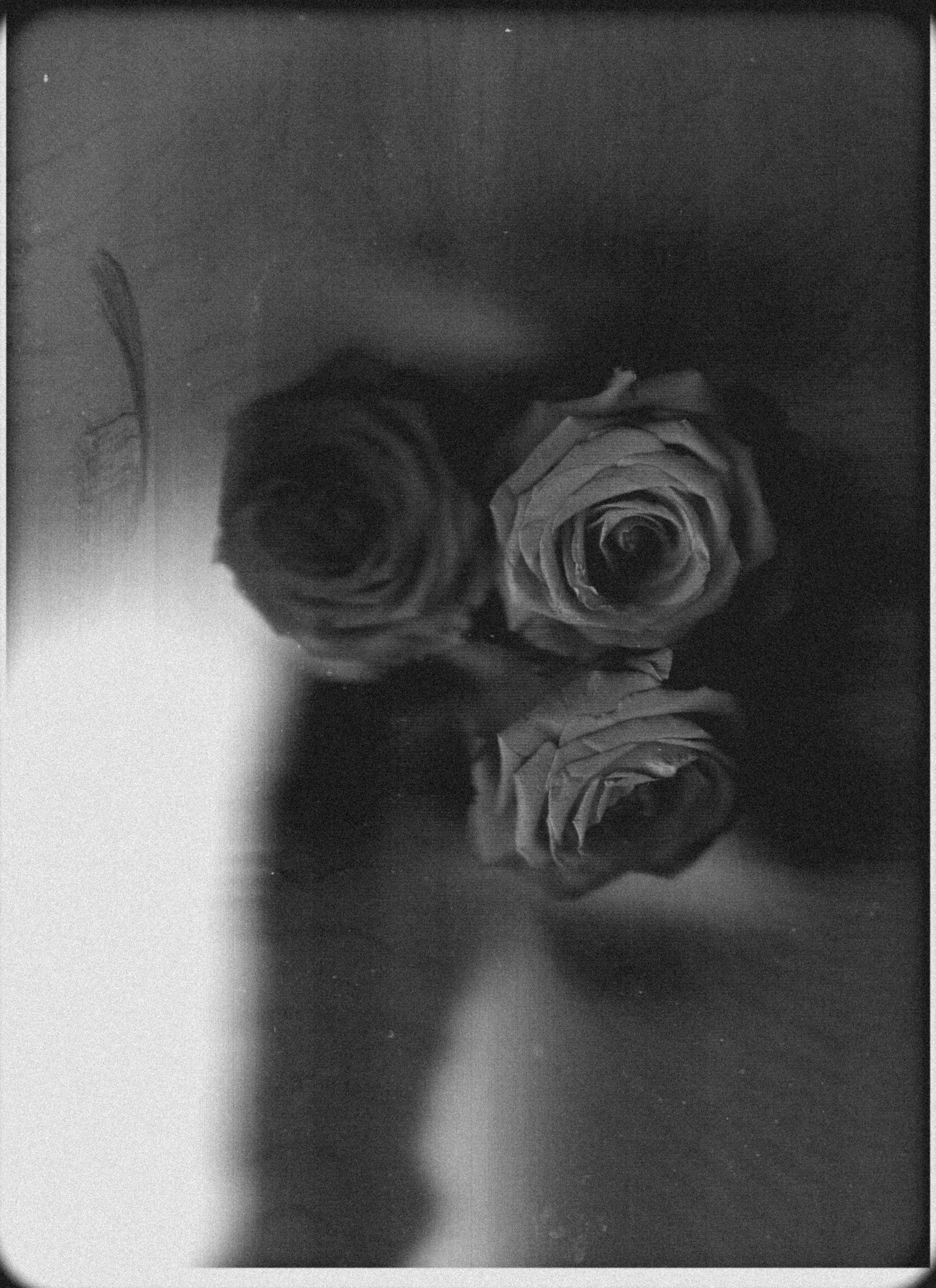 Фотограф Маша Ривер Щелково Москва