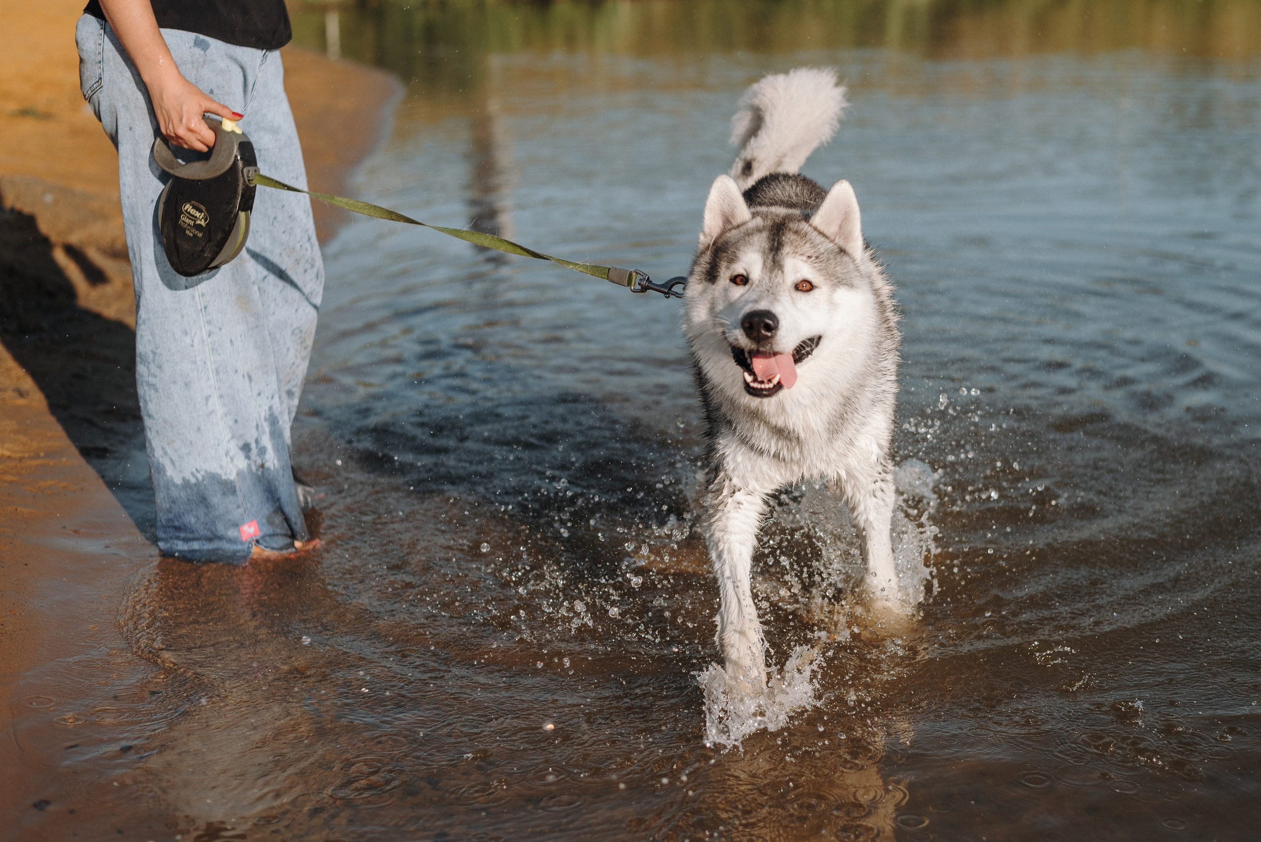 Ksenia & Archie. Natalia Finch Photography — Family, Kids & Pet Photographer in Chicago, IL