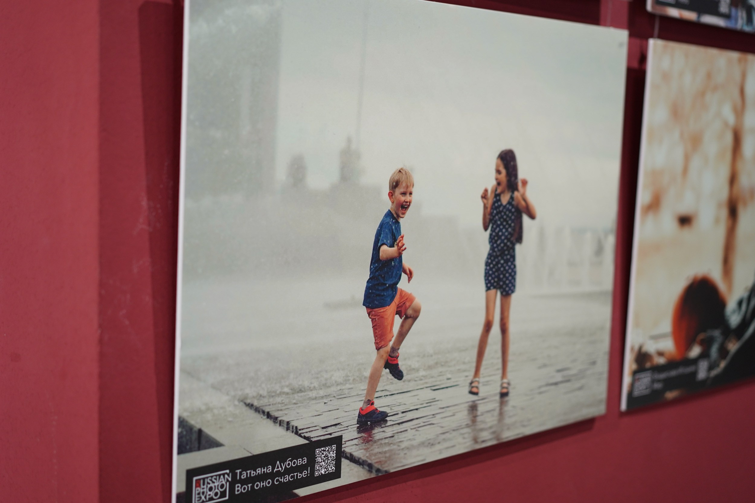 My achievements and education. Tatyana Dubova. Portrait and Family Photographer, Saint Petersburg