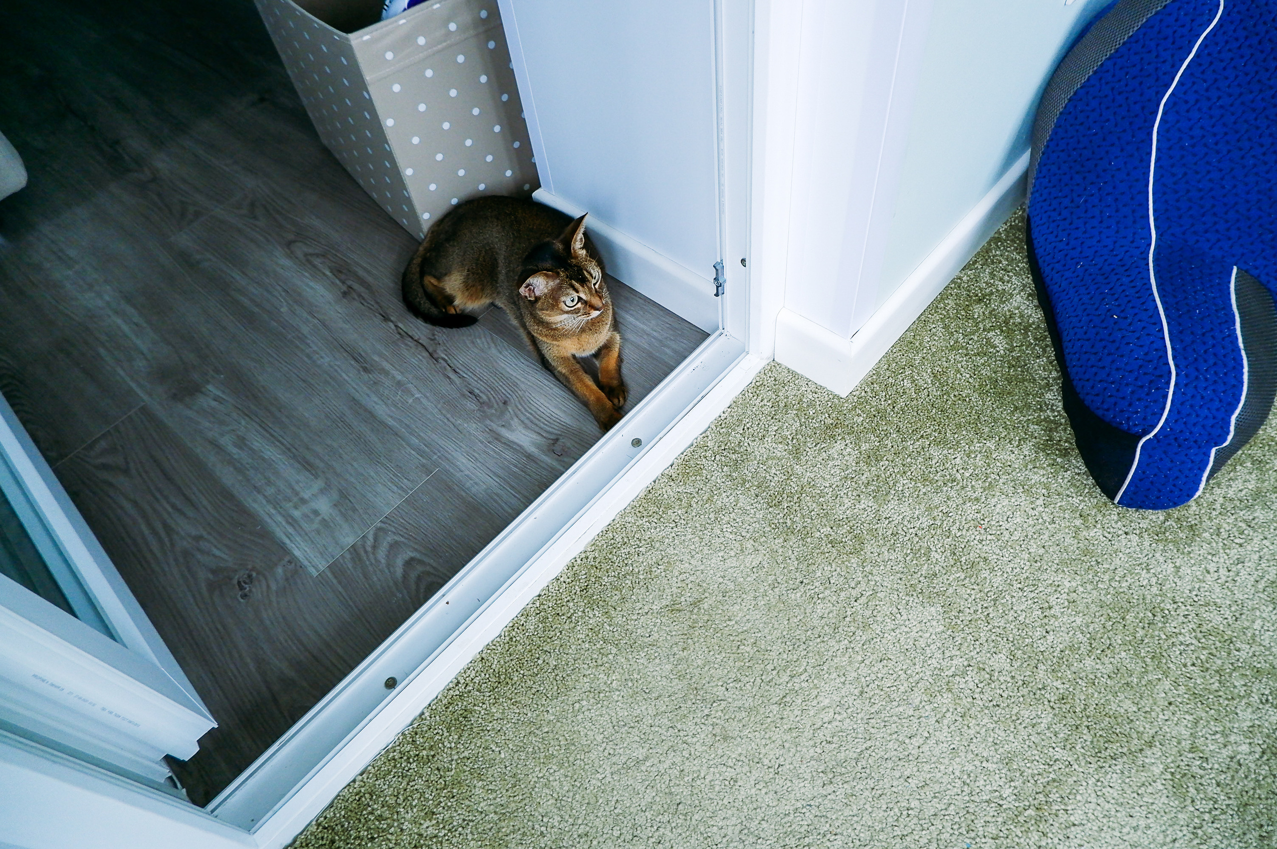 Семейная фотосессия