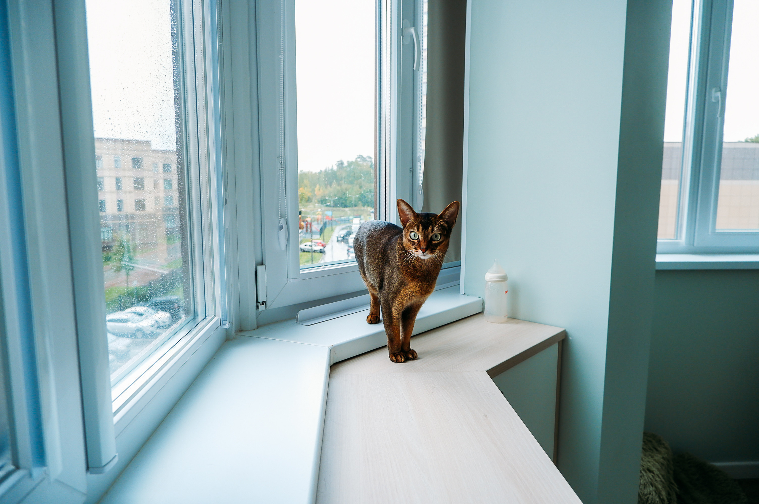 Семейная фотосессия