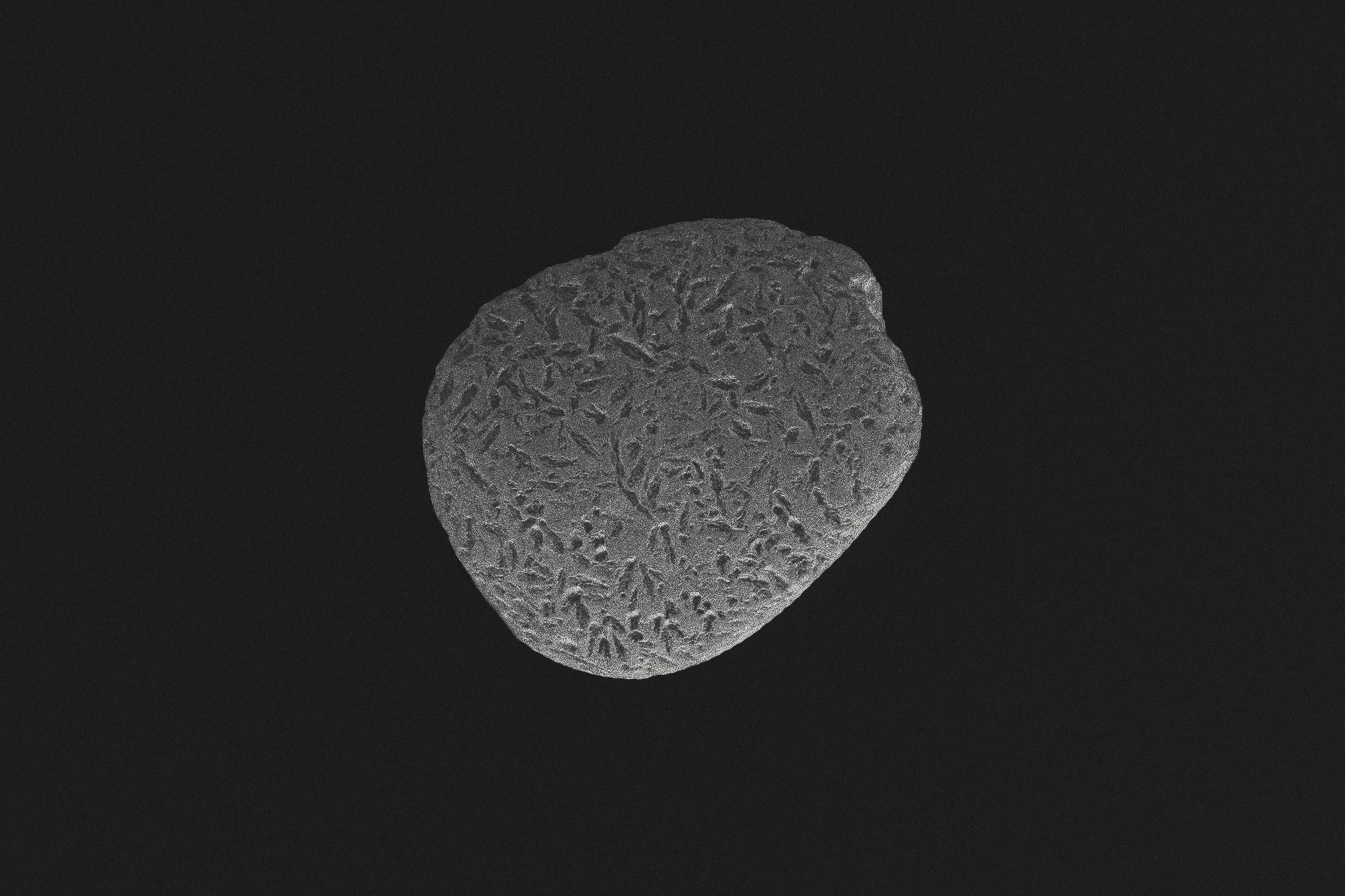 Монохромная и минималистичная фотография природы. Фотограф | Макс Коробкин