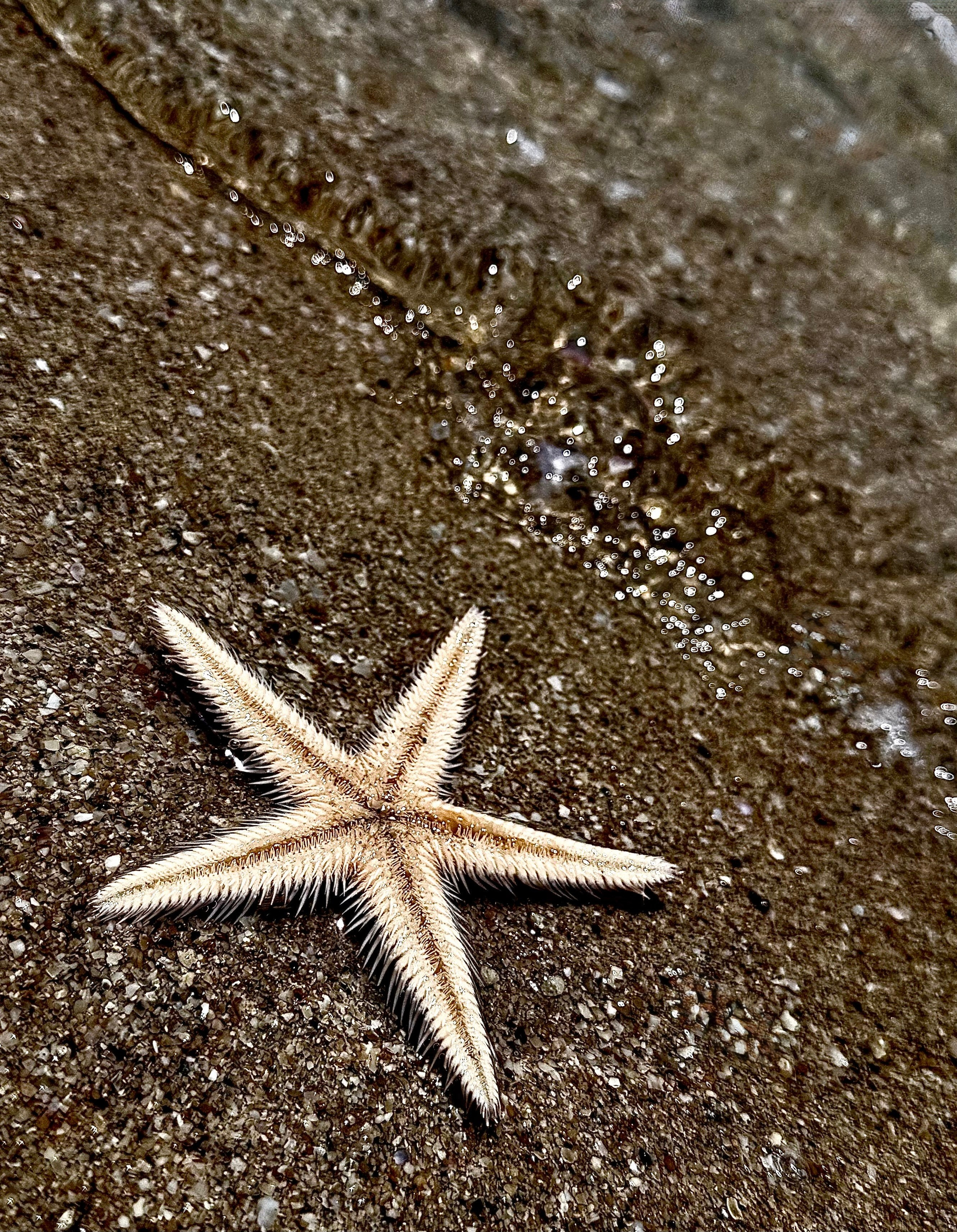 Фотограф Москва. Фотограф и художник в Москве Евгения Нюнина