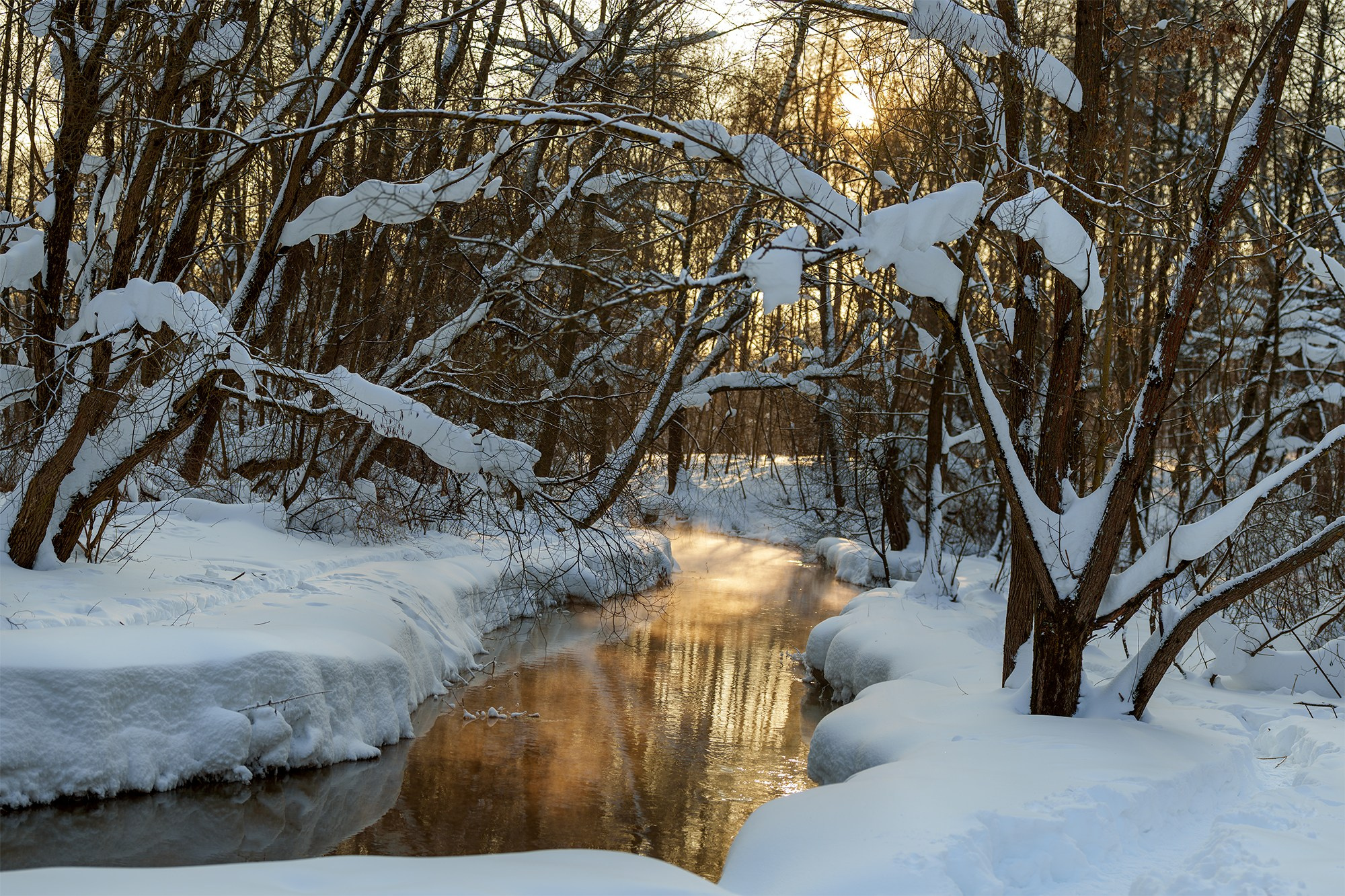 Природа. Ваш личный фотограф Марина Волкова