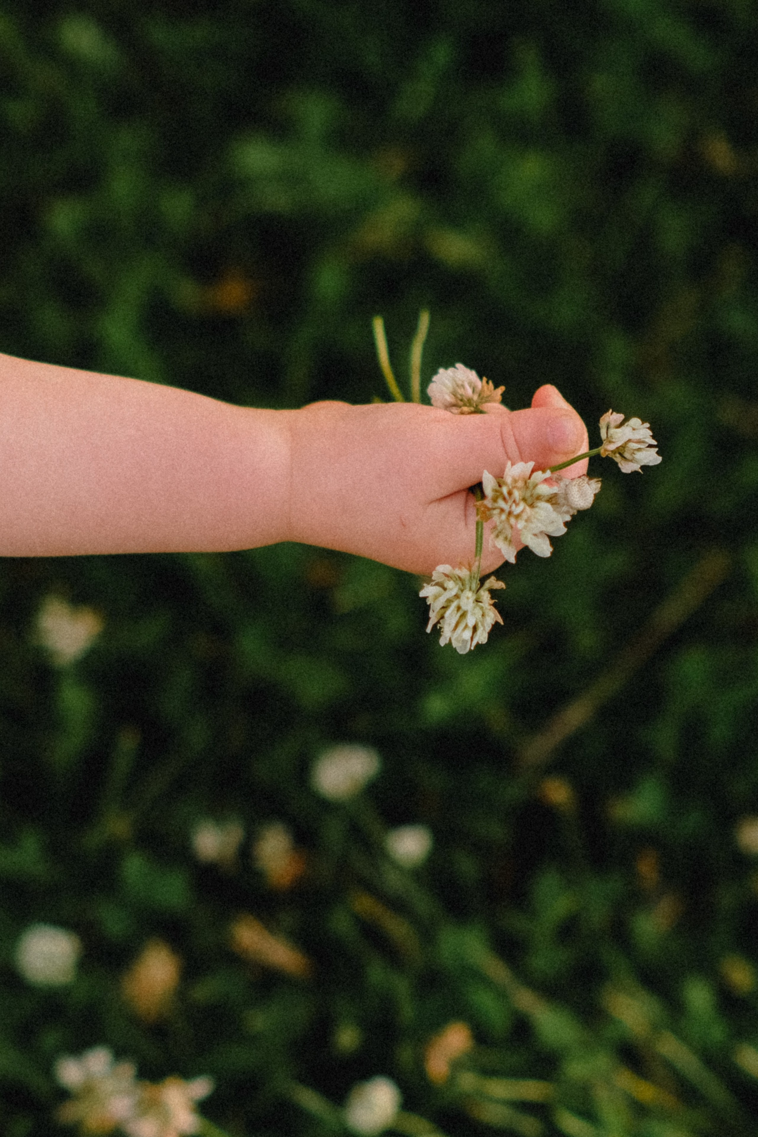 Настя и Аделина. Семейный фотограф Москва