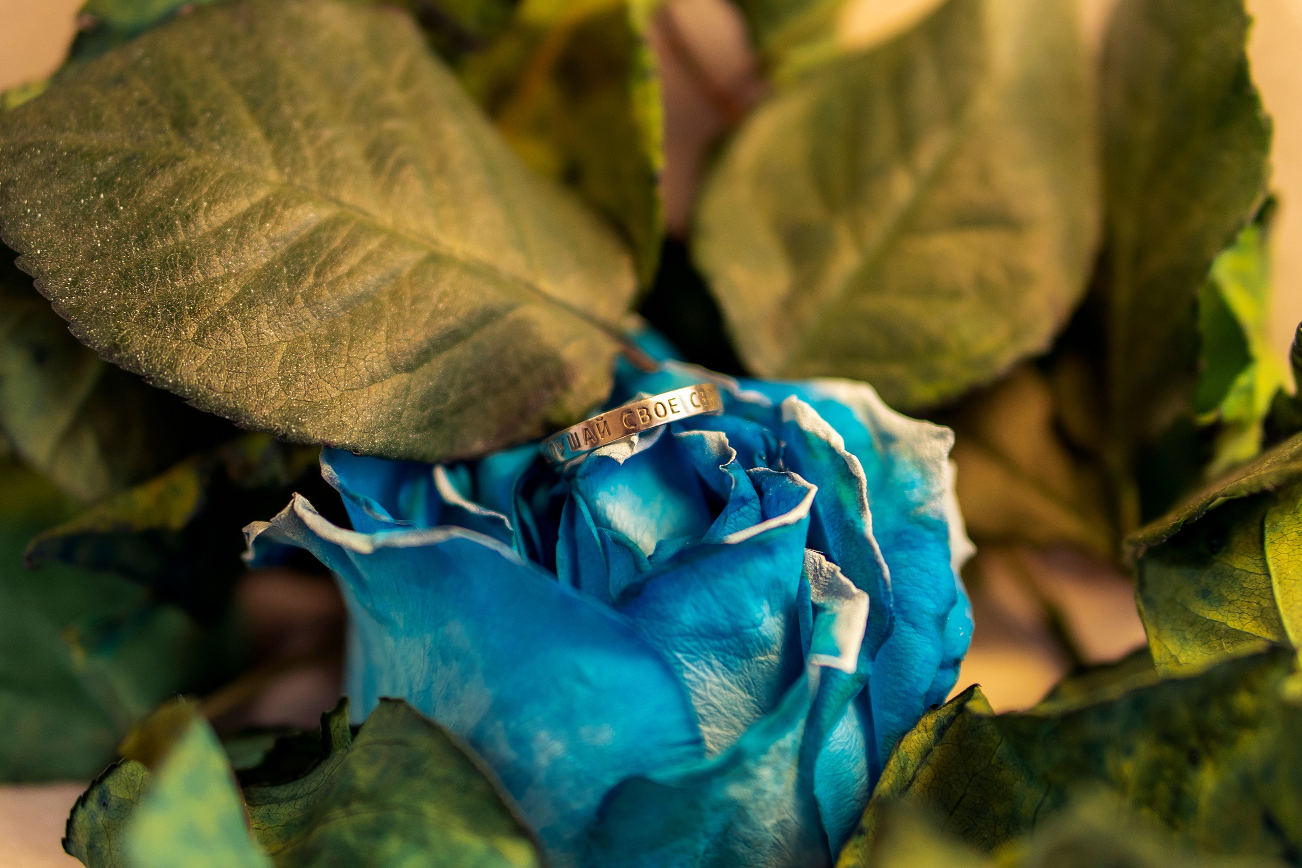 Subject photography. Главная