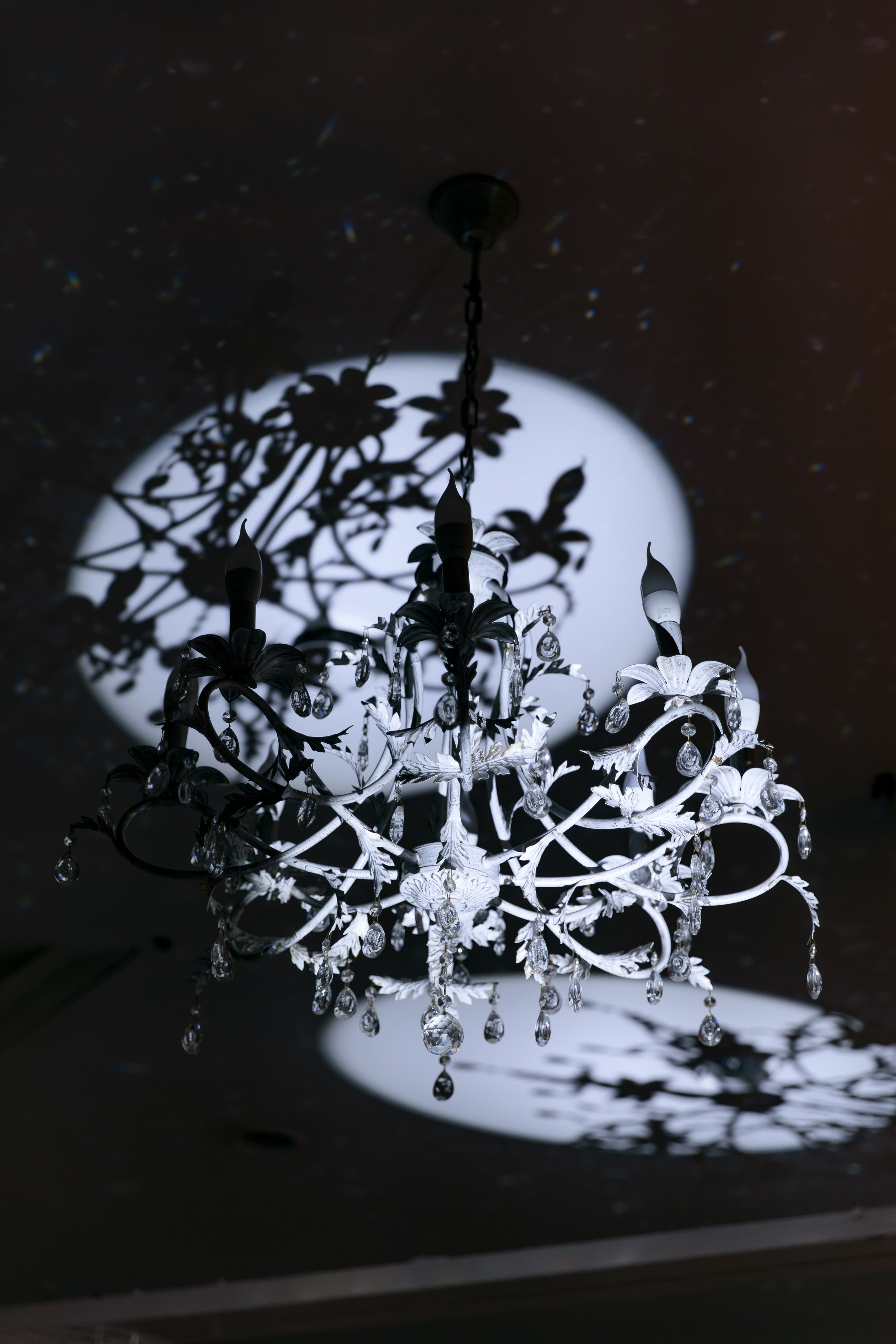 Роман и Татьяна. Свадебный и портретный фотограф — Мария Костина