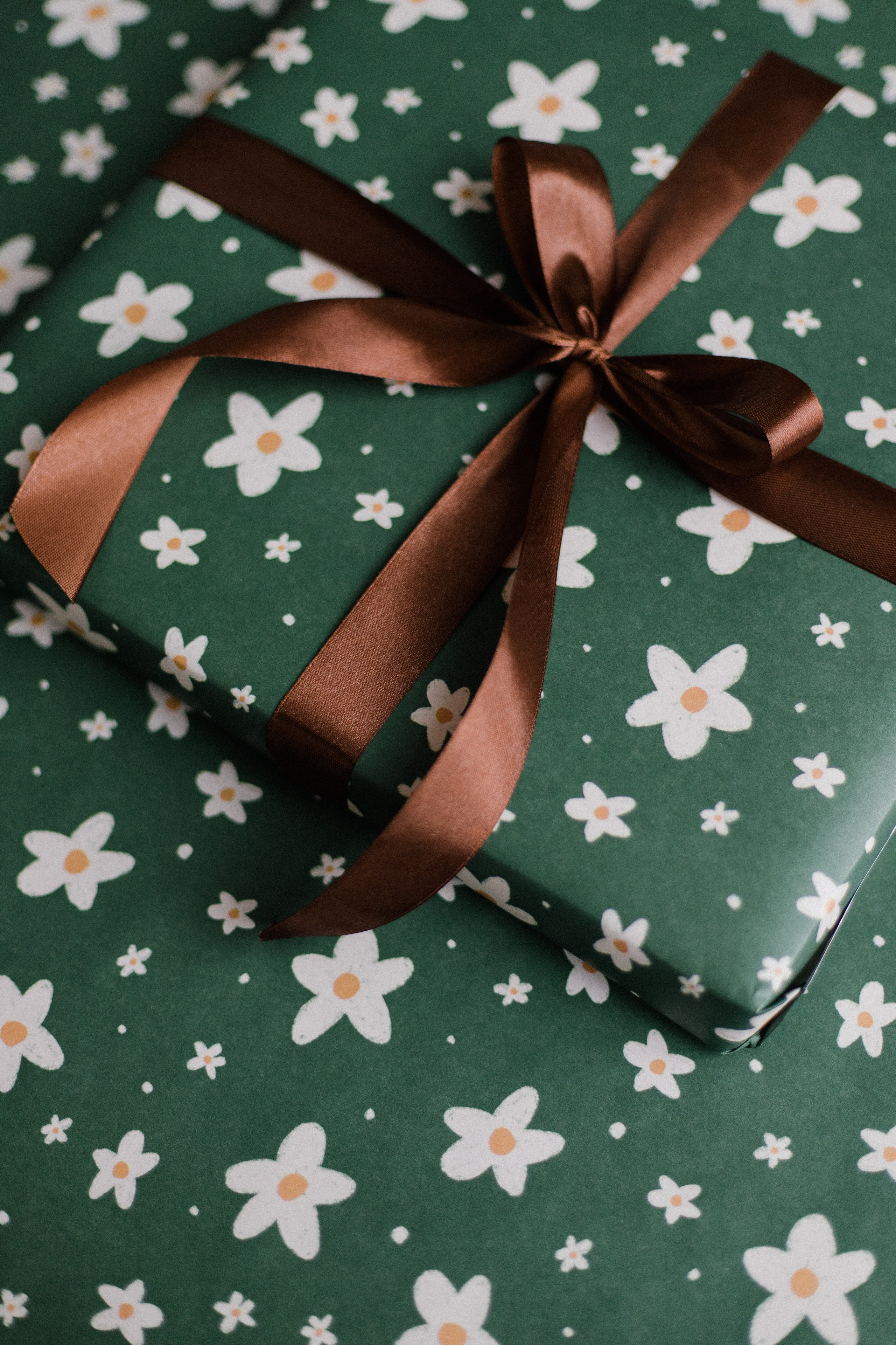 Duet.Pet. Фотограф в Москве Виктория Губина