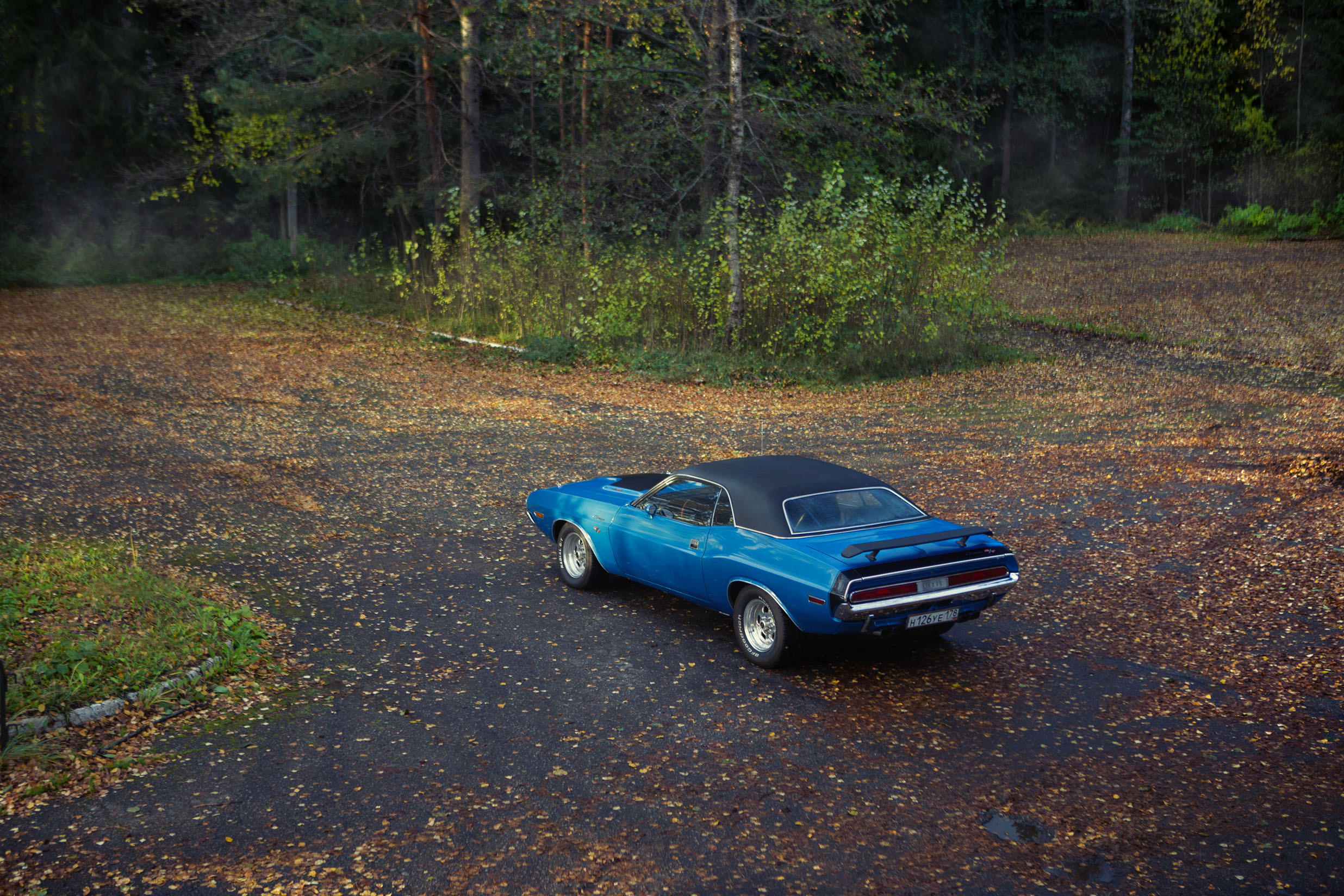 красивый американский  мускул кар дождливой осенью