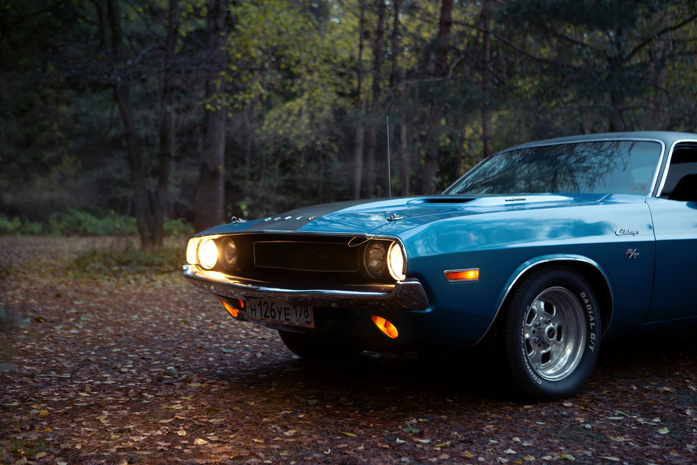 Dodge Challenger американский мускул кар дождливой осенью