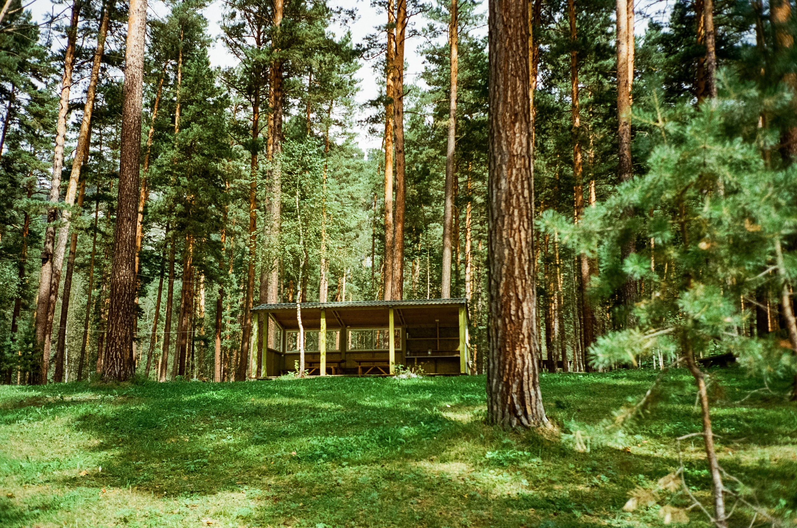 Кедровый остров, Катунь и скалы. Фотограф-документалист Мария Осокина
