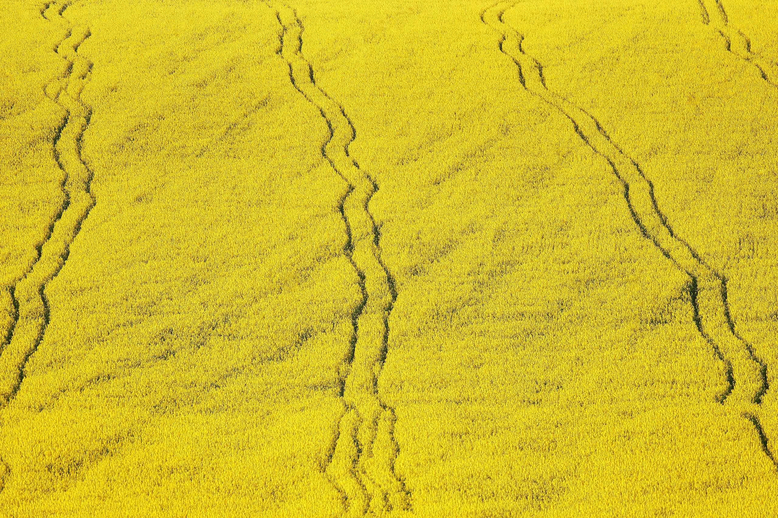 Текстуры — природа. Яркие фото на Чёрном море