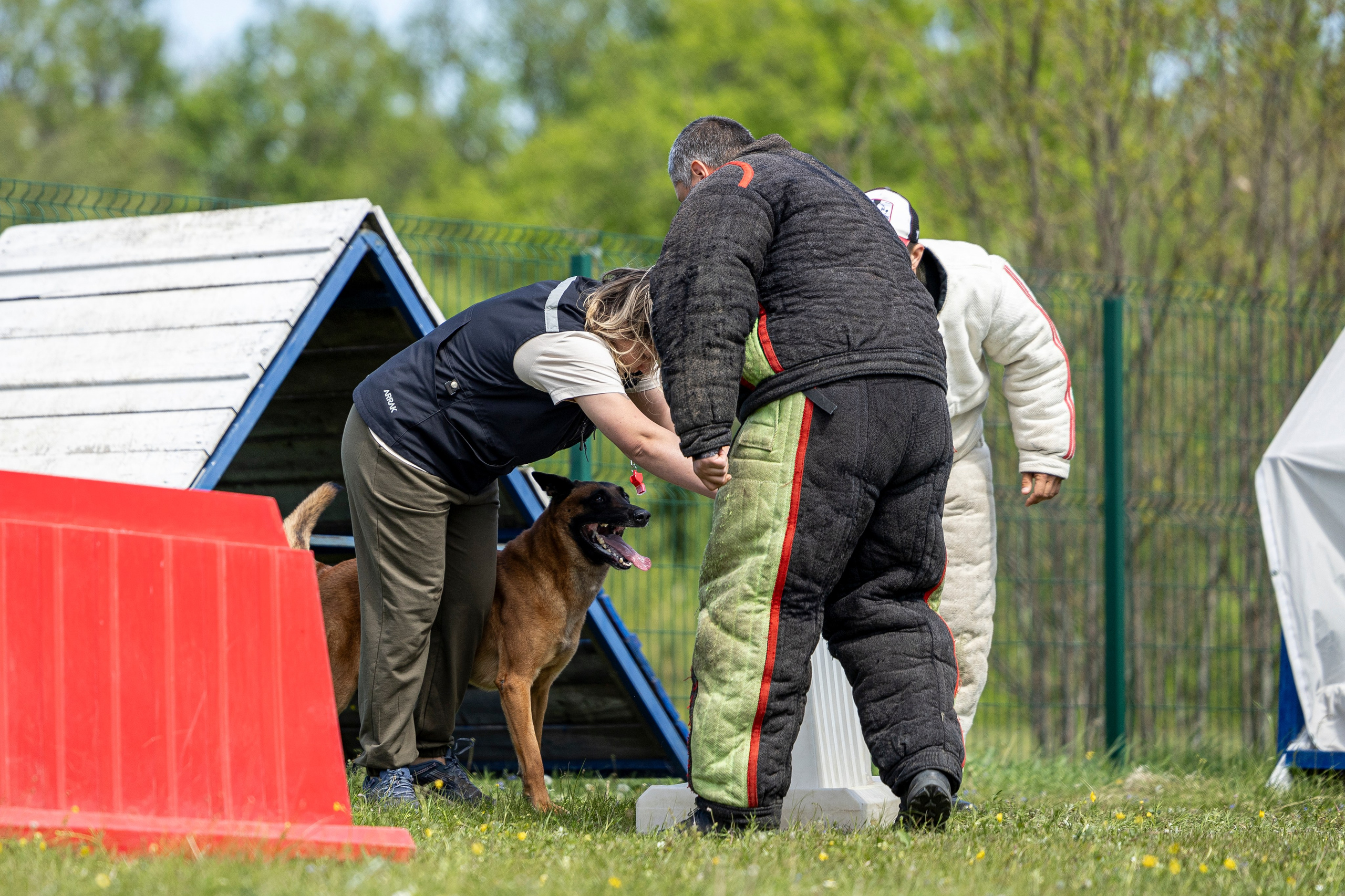 Испытания по мондьорингу в Нижнем Новгороде. Фотограф-анималист Анна Маринич