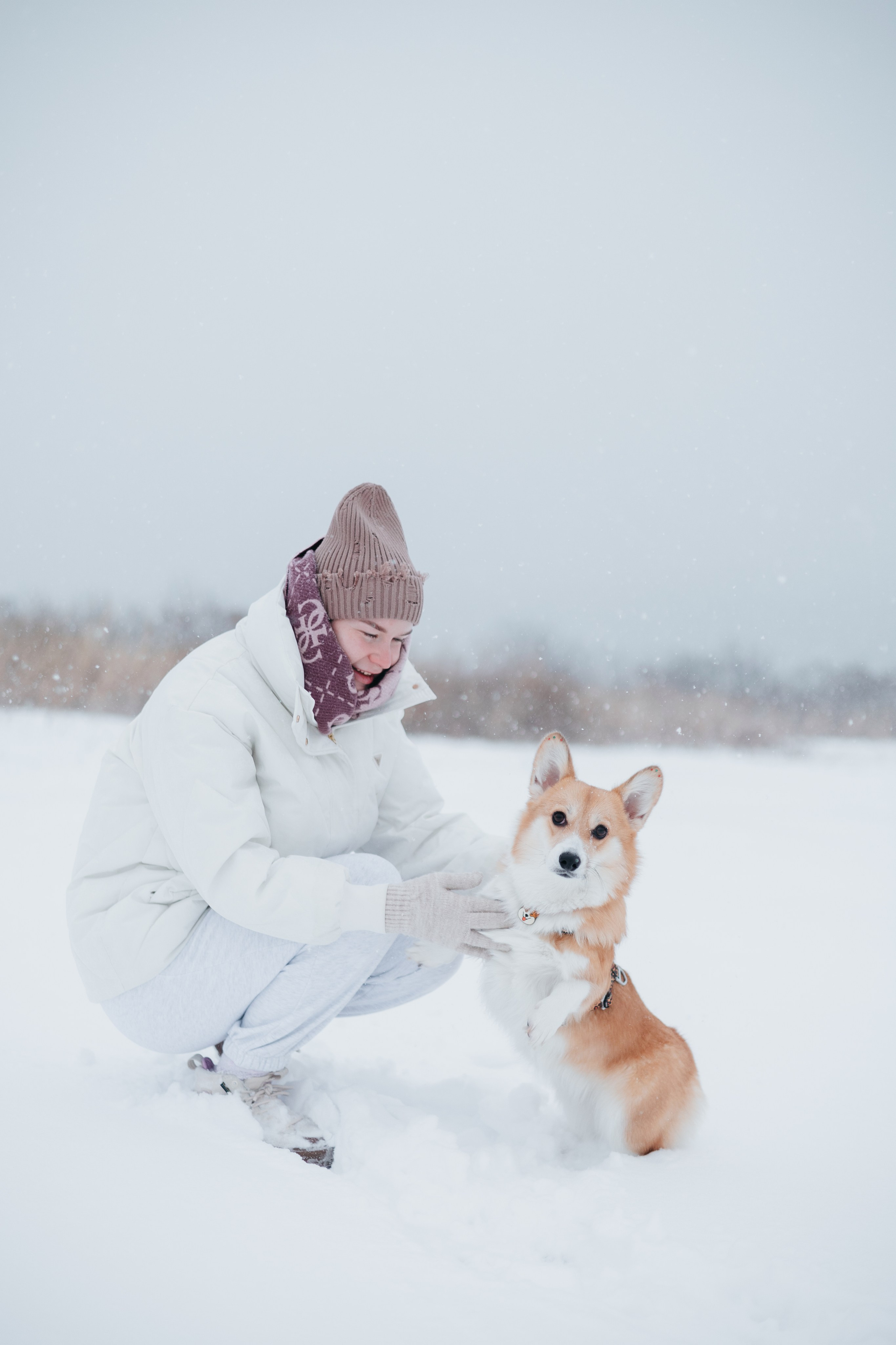 Лена, Лиза и Мия. Фотограф — анималист Владивосток, Алина