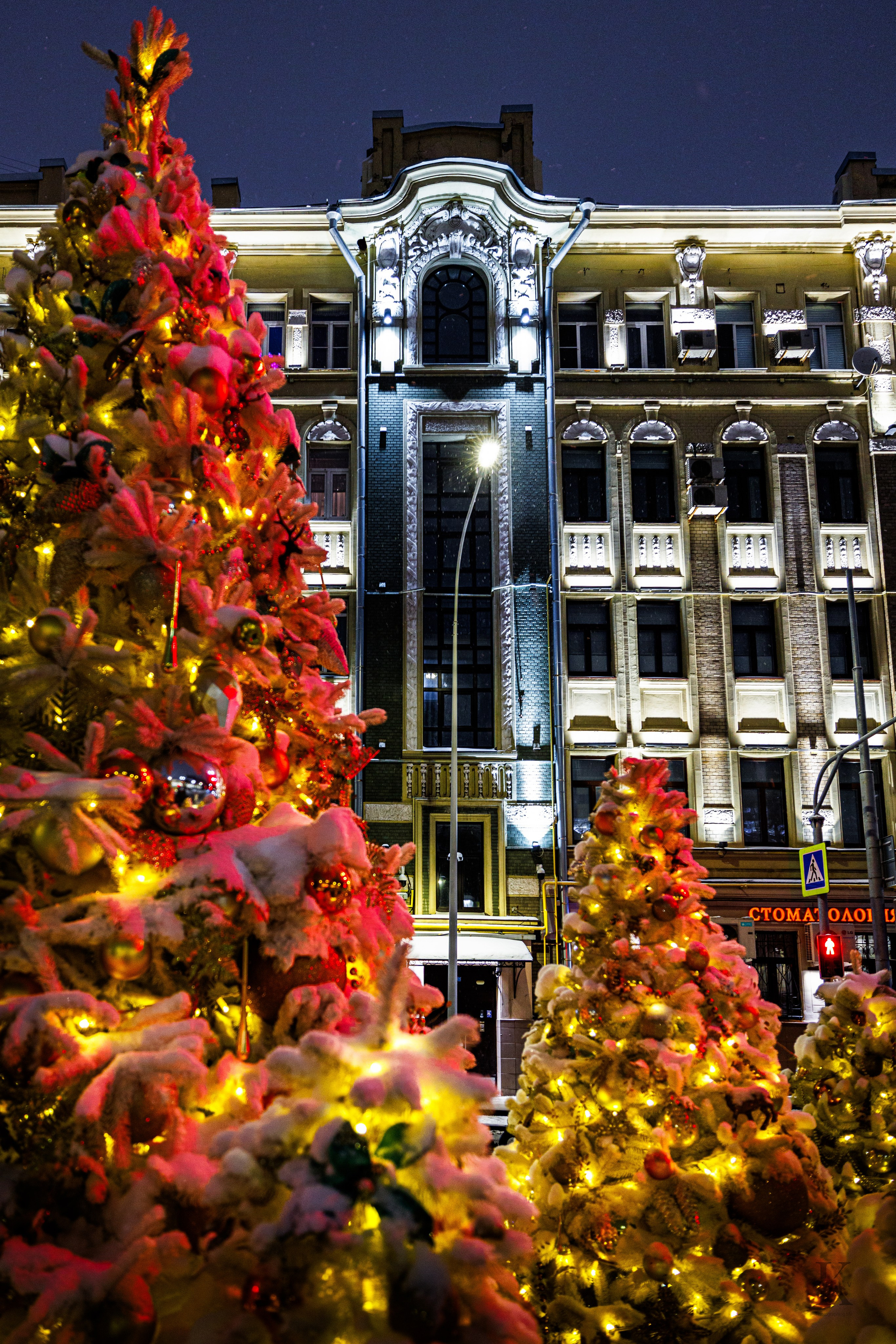 Бульвар. Январь 2026. Фотографирую жизнь! Московский фотограф волонтер