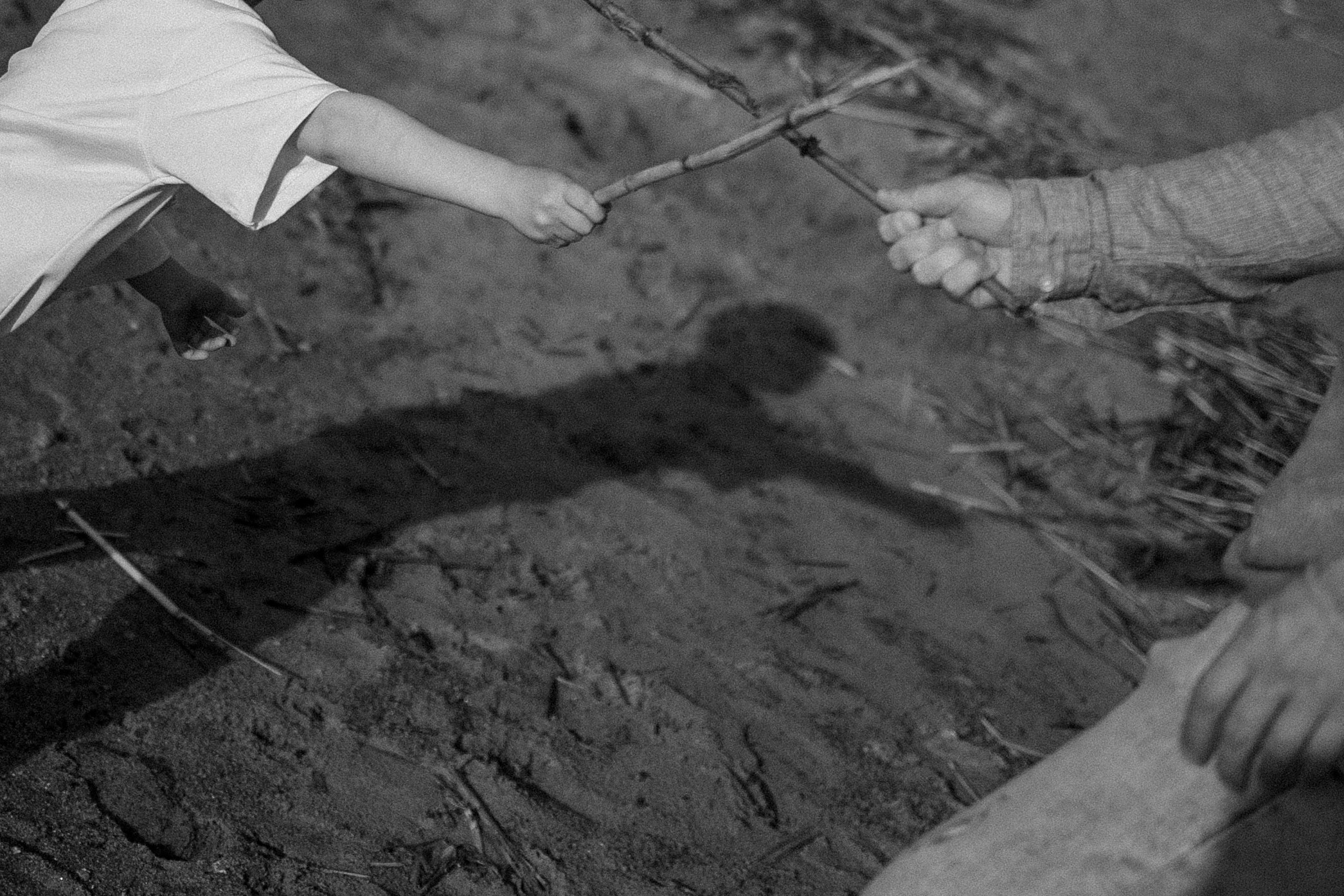 Бонни и ее семья. Фотограф — Анималист | Санкт-Петербург