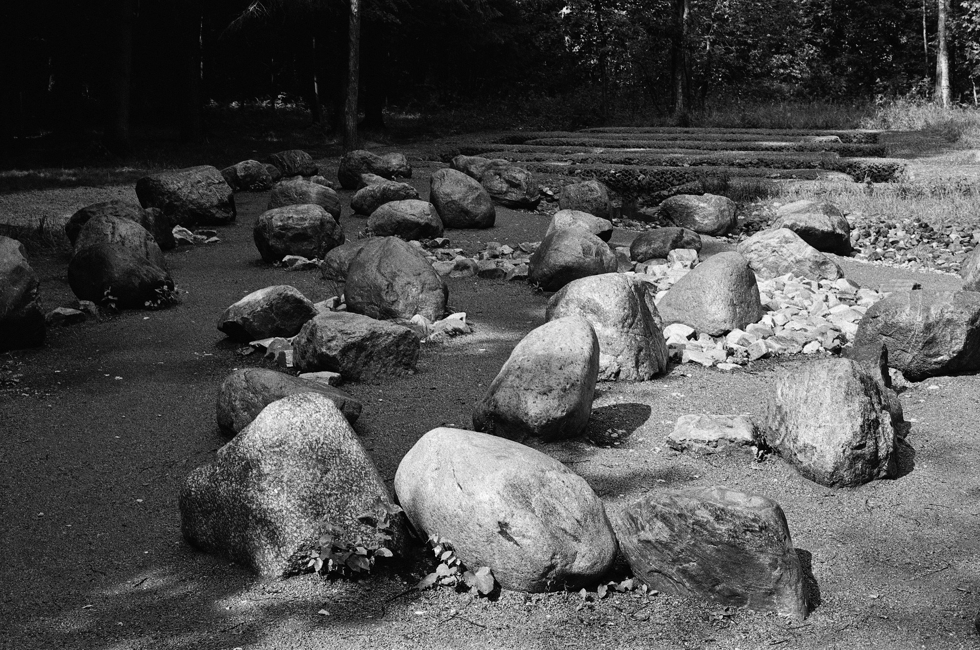 Borovsky Park. Another person Pavel Potseluev. A photographer in 2025