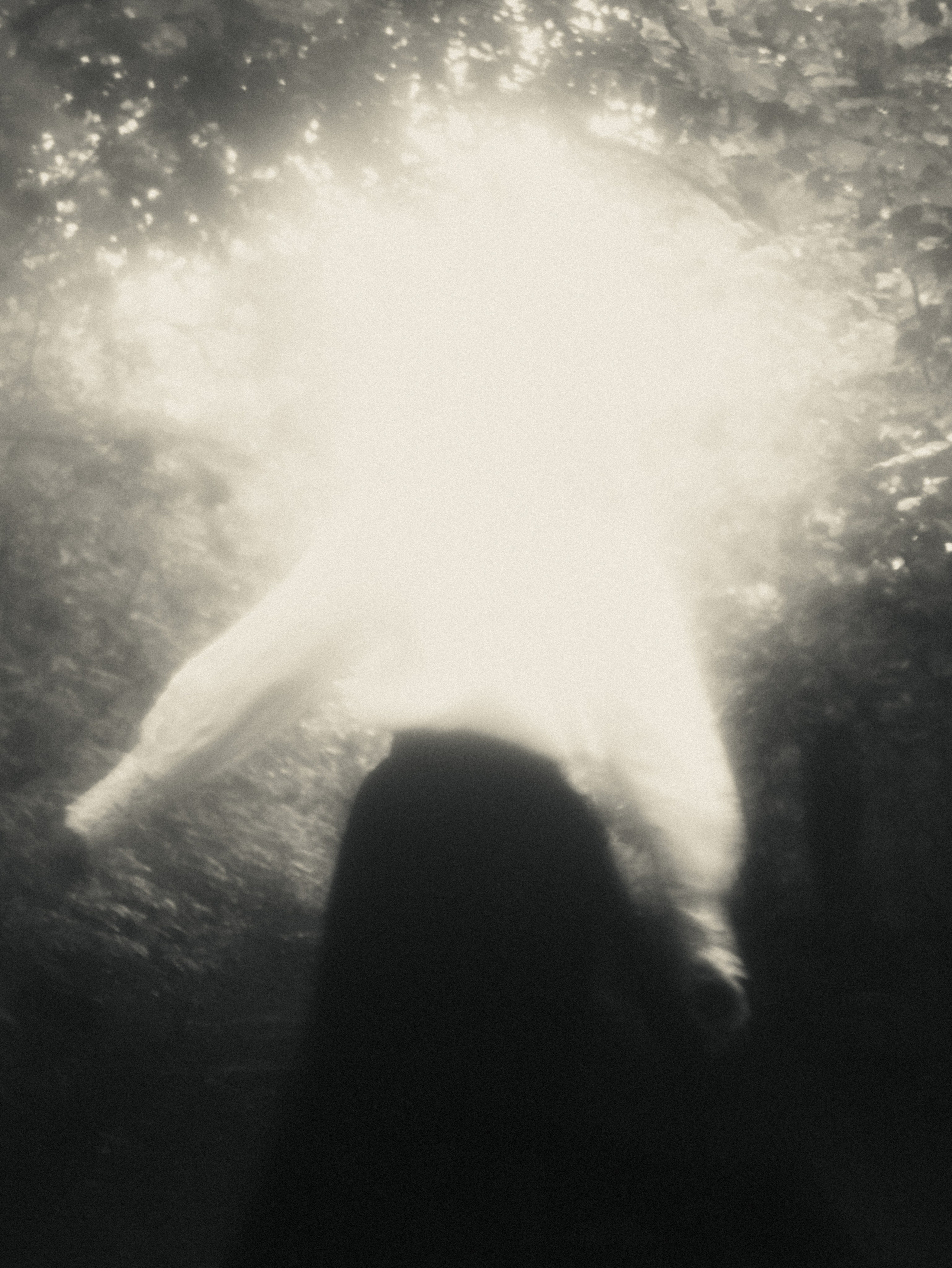 Человек (2019- по н.в). Фотограф | Макс Коробкин